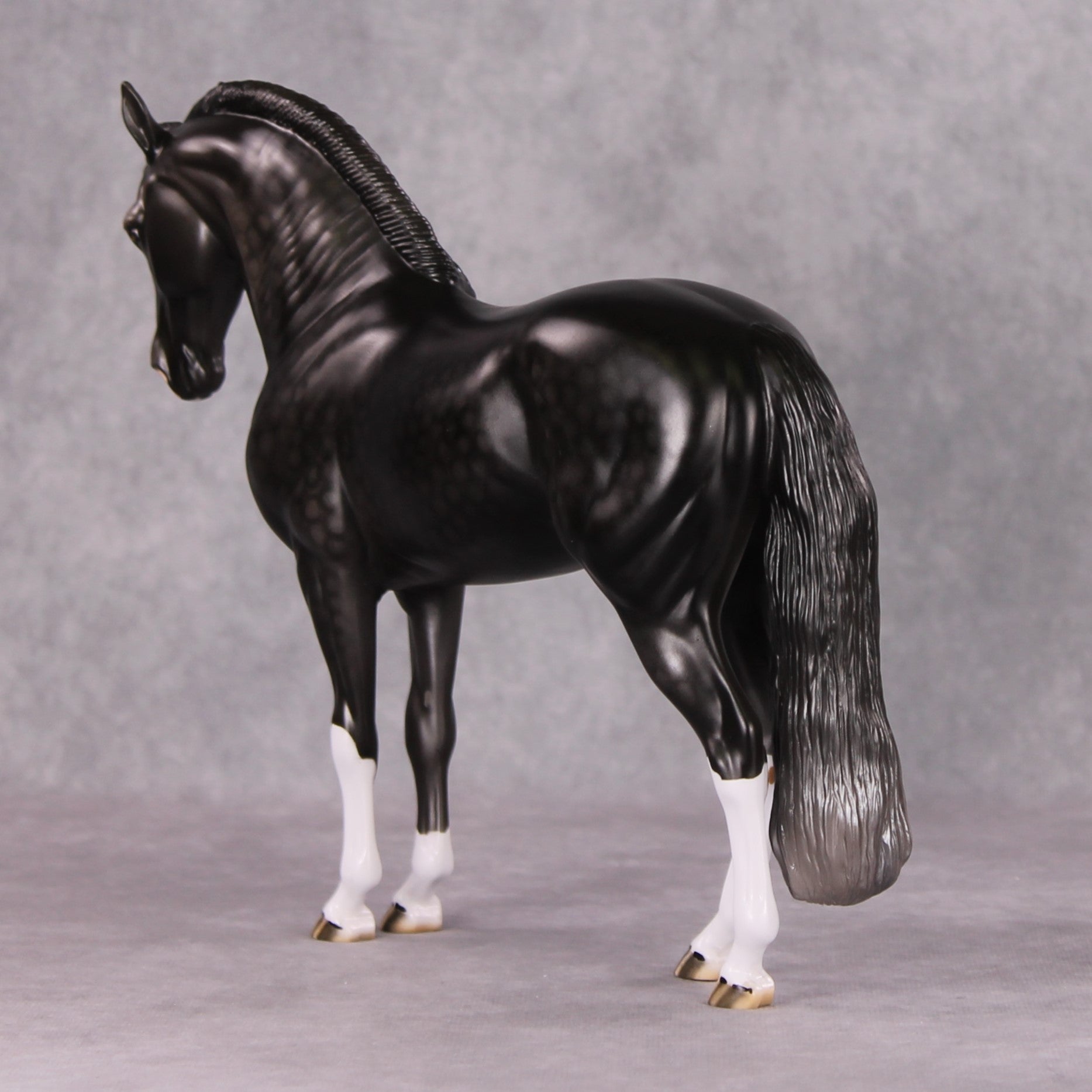 Graphite OOAK Dark Dapple Grey Custom Andalusian By Dawn Quick HS24