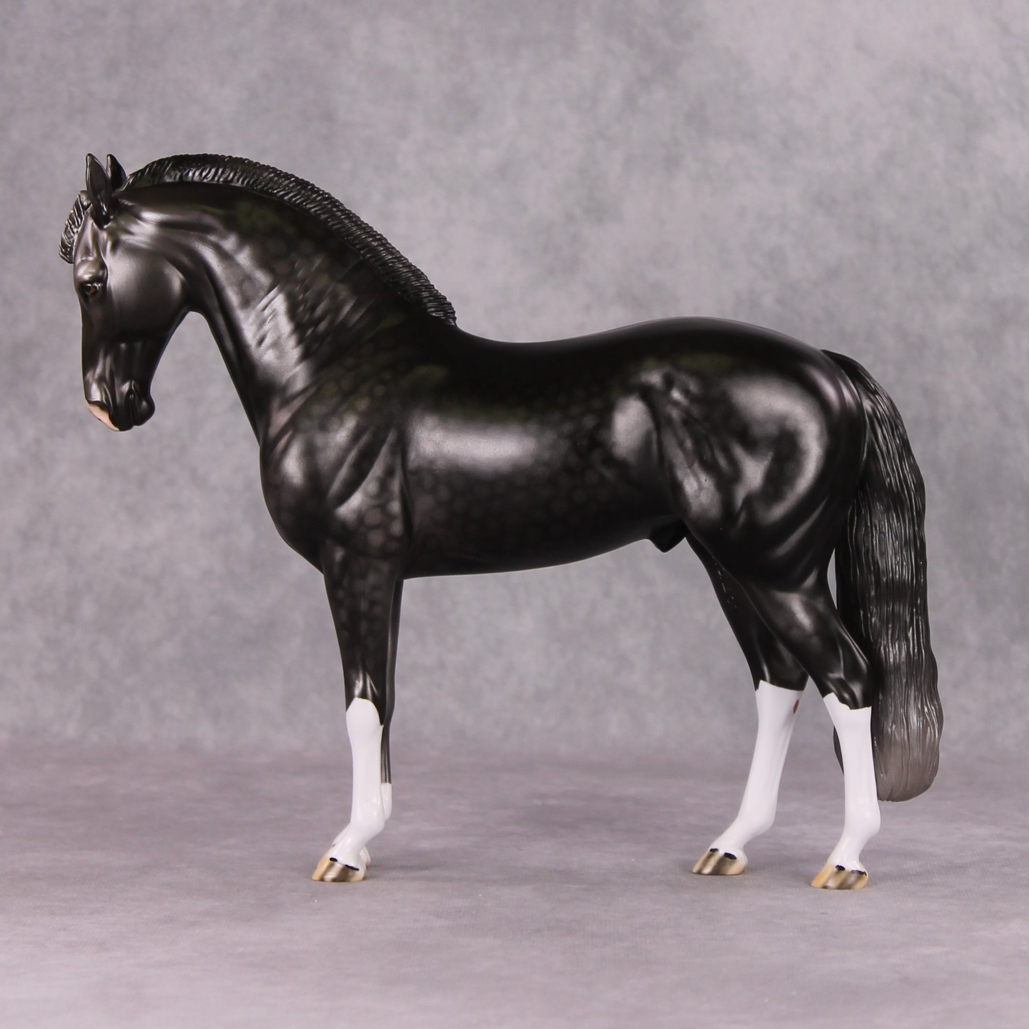 Graphite OOAK Dark Dapple Grey Custom Andalusian By Dawn Quick HS24