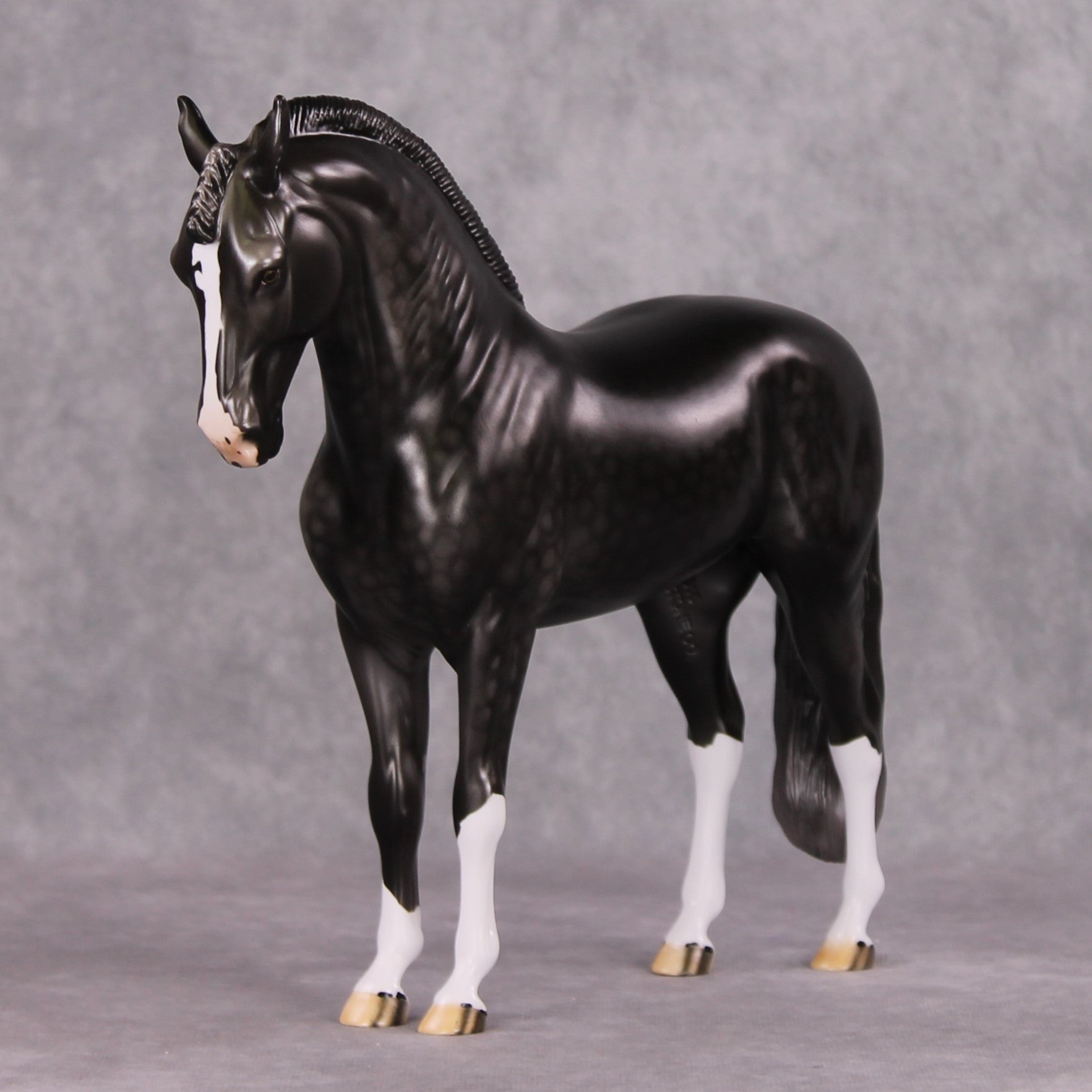 Graphite OOAK Dark Dapple Grey Custom Andalusian By Dawn Quick HS24