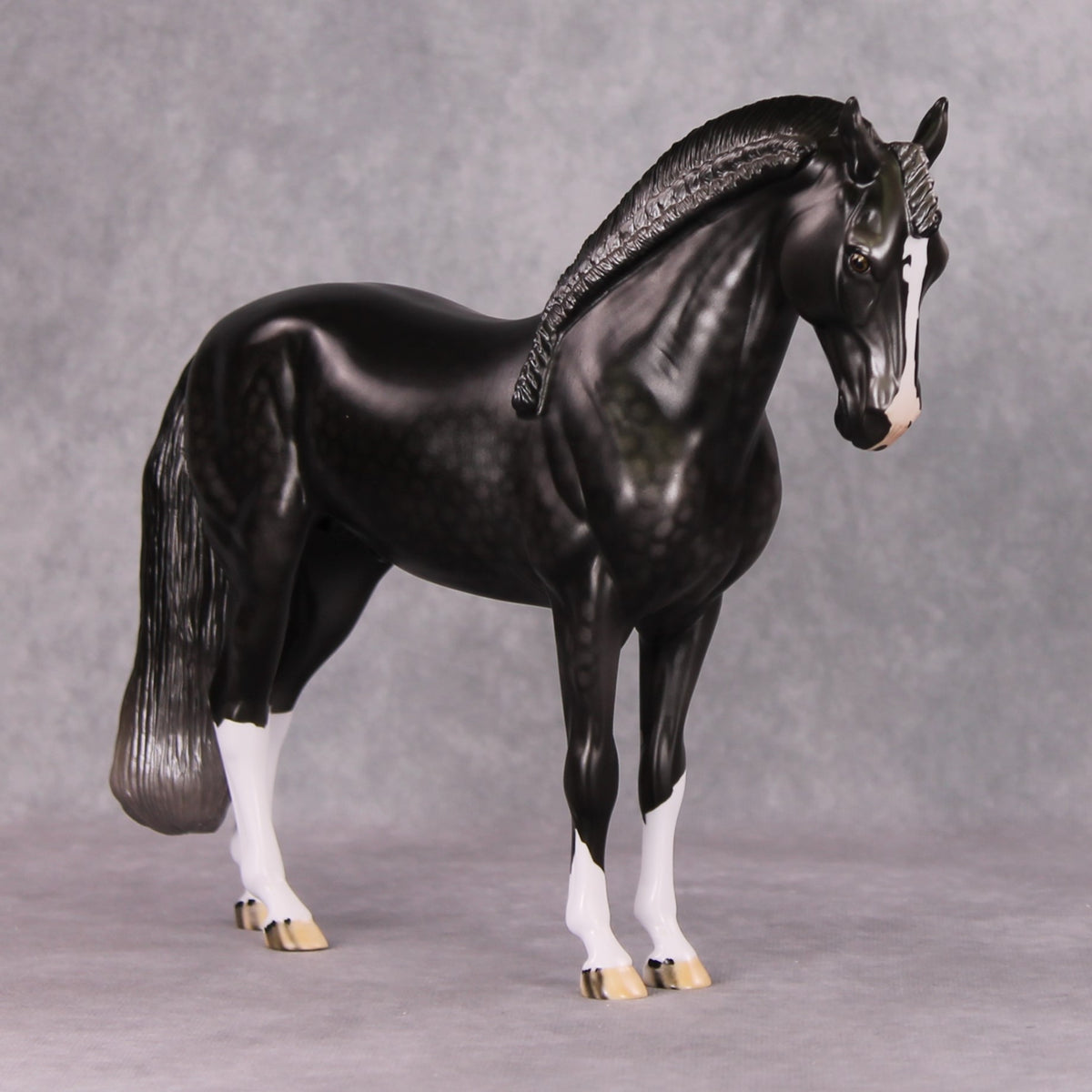 Graphite OOAK Dark Dapple Grey Custom Andalusian By Dawn Quick HS24