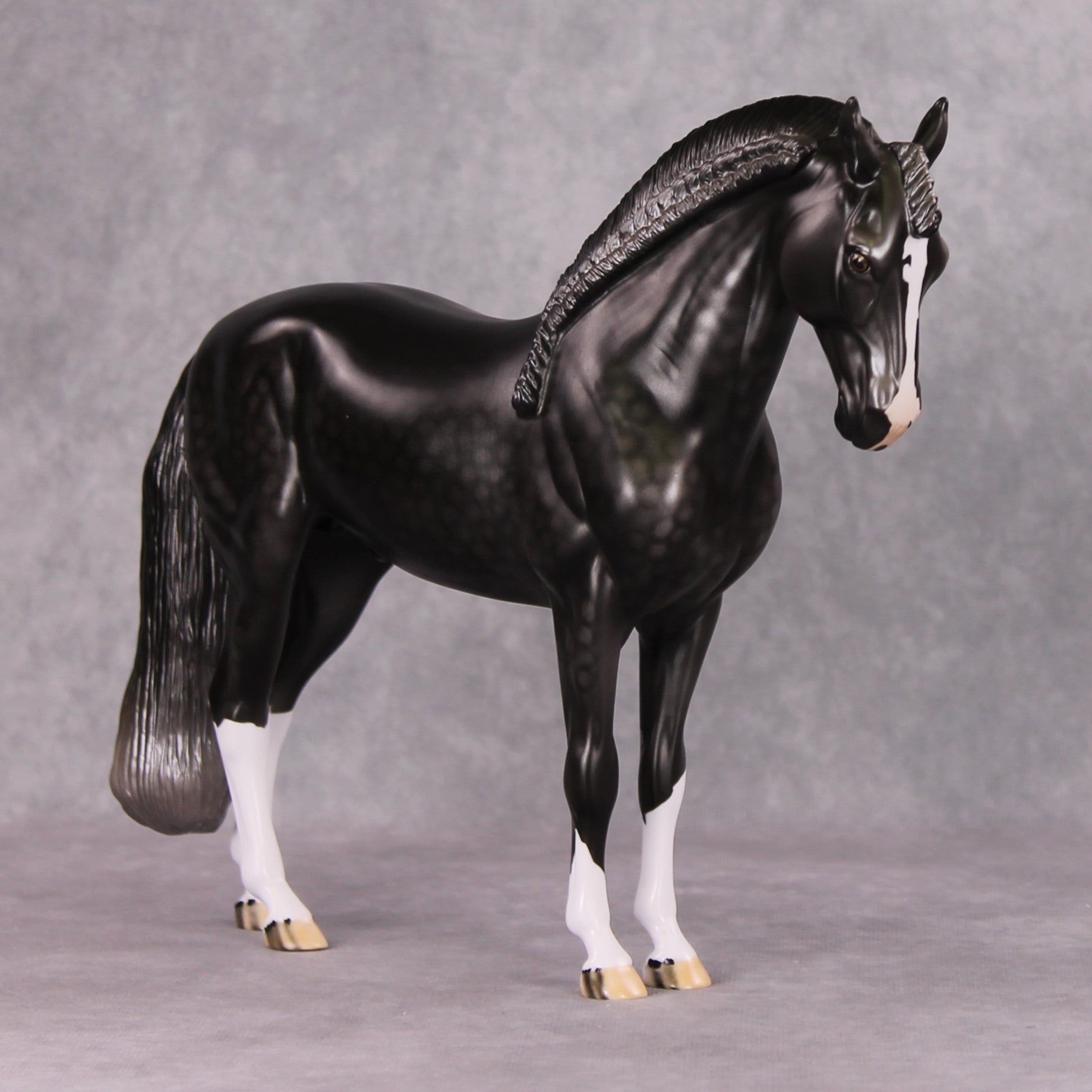 Graphite OOAK Dark Dapple Grey Custom Andalusian By Dawn Quick HS24