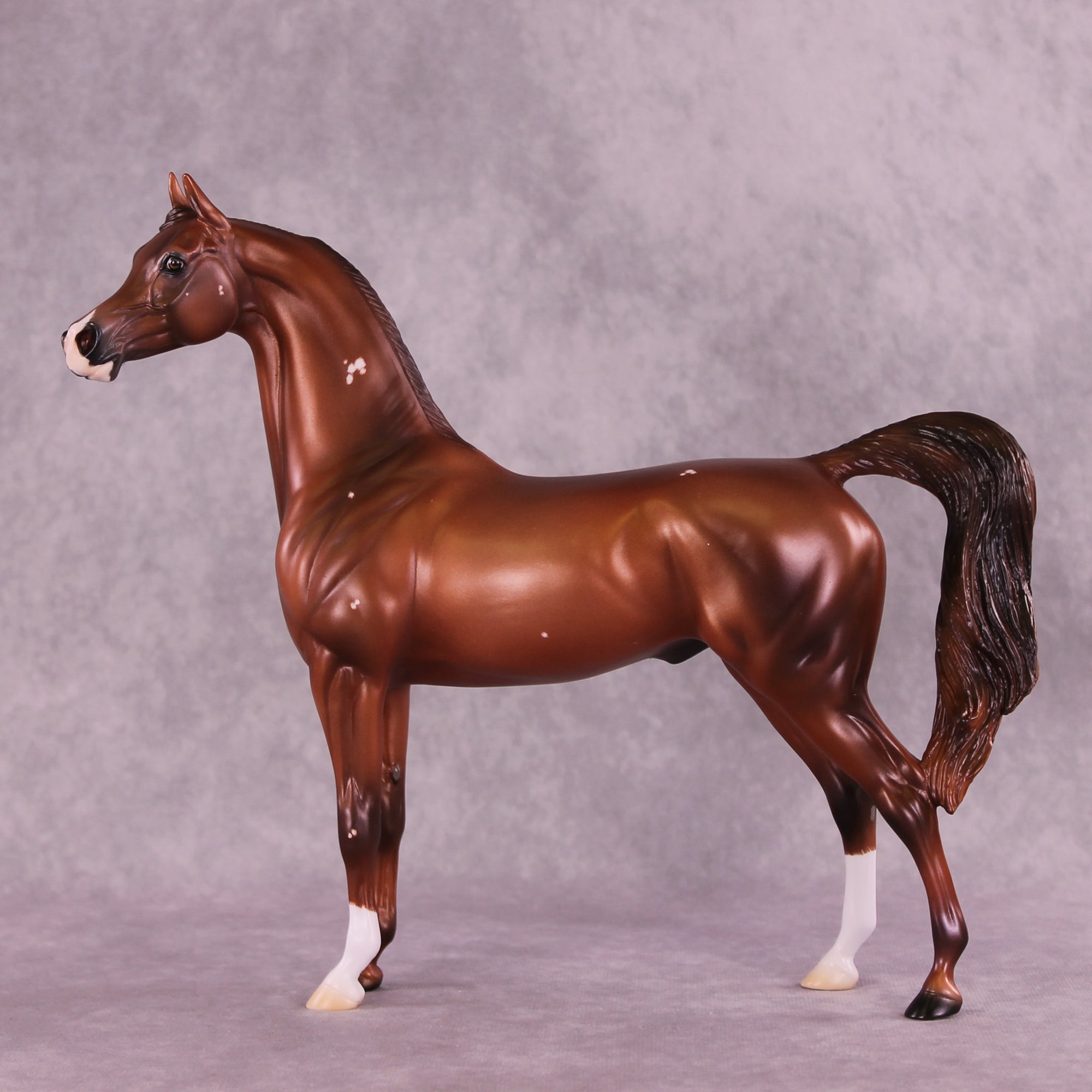 Flowers Once Again OOAK Arabian Stallion by Ashley Palmer DDOOAKs25