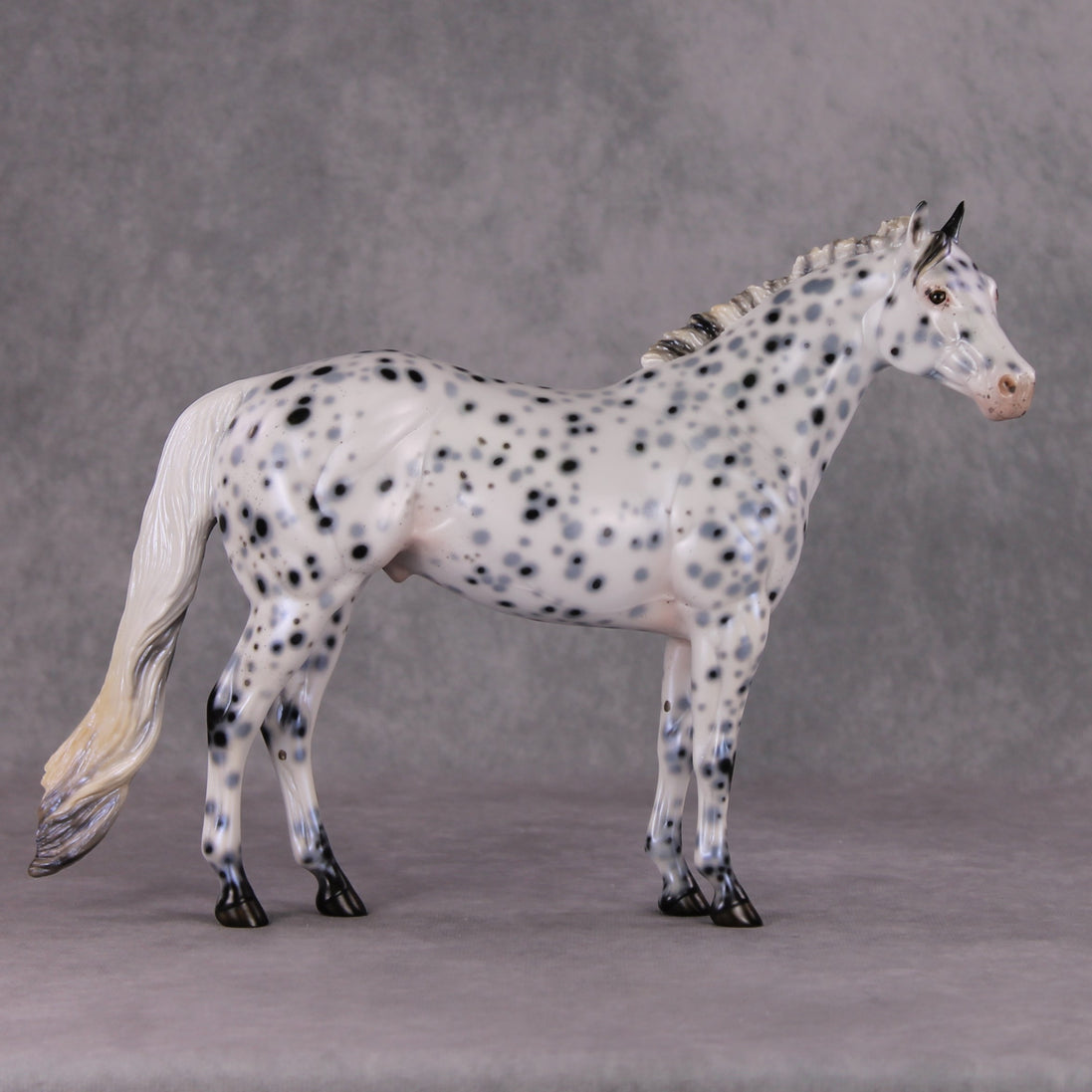 Cookiez 4 Santa OOAK Pearl Black Leopard Appaloosa W/ Blue Interference ISH By Ellen Robbins HS24 MHP Auction Piece