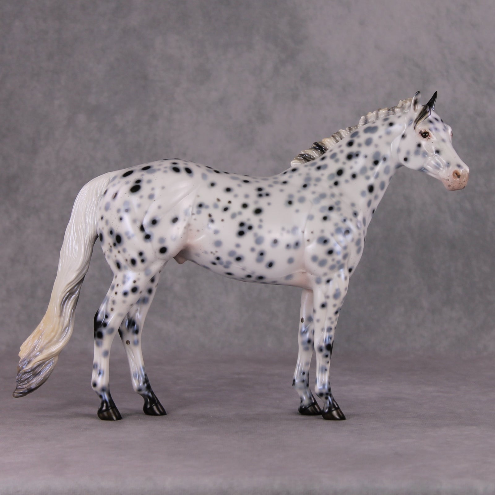 Cookiez 4 Santa OOAK Pearl Black Leopard Appaloosa W/ Blue Interference ISH By Ellen Robbins HS24 MHP Auction Piece
