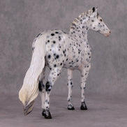 Cookiez 4 Santa OOAK Pearl Black Leopard Appaloosa W/ Blue Interference ISH By Ellen Robbins HS24 MHP Auction Piece