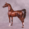 Flowers Once Again OOAK Arabian Stallion by Ashley Palmer DDOOAKs25