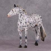 Cookiez 4 Santa OOAK Pearl Black Leopard Appaloosa W/ Blue Interference ISH By Ellen Robbins HS24 MHP Auction Piece