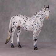 Cookiez 4 Santa OOAK Pearl Black Leopard Appaloosa W/ Blue Interference ISH By Ellen Robbins HS24 MHP Auction Piece