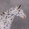 Cookiez 4 Santa OOAK Pearl Black Leopard Appaloosa W/ Blue Interference ISH By Ellen Robbins HS24 MHP Auction Piece