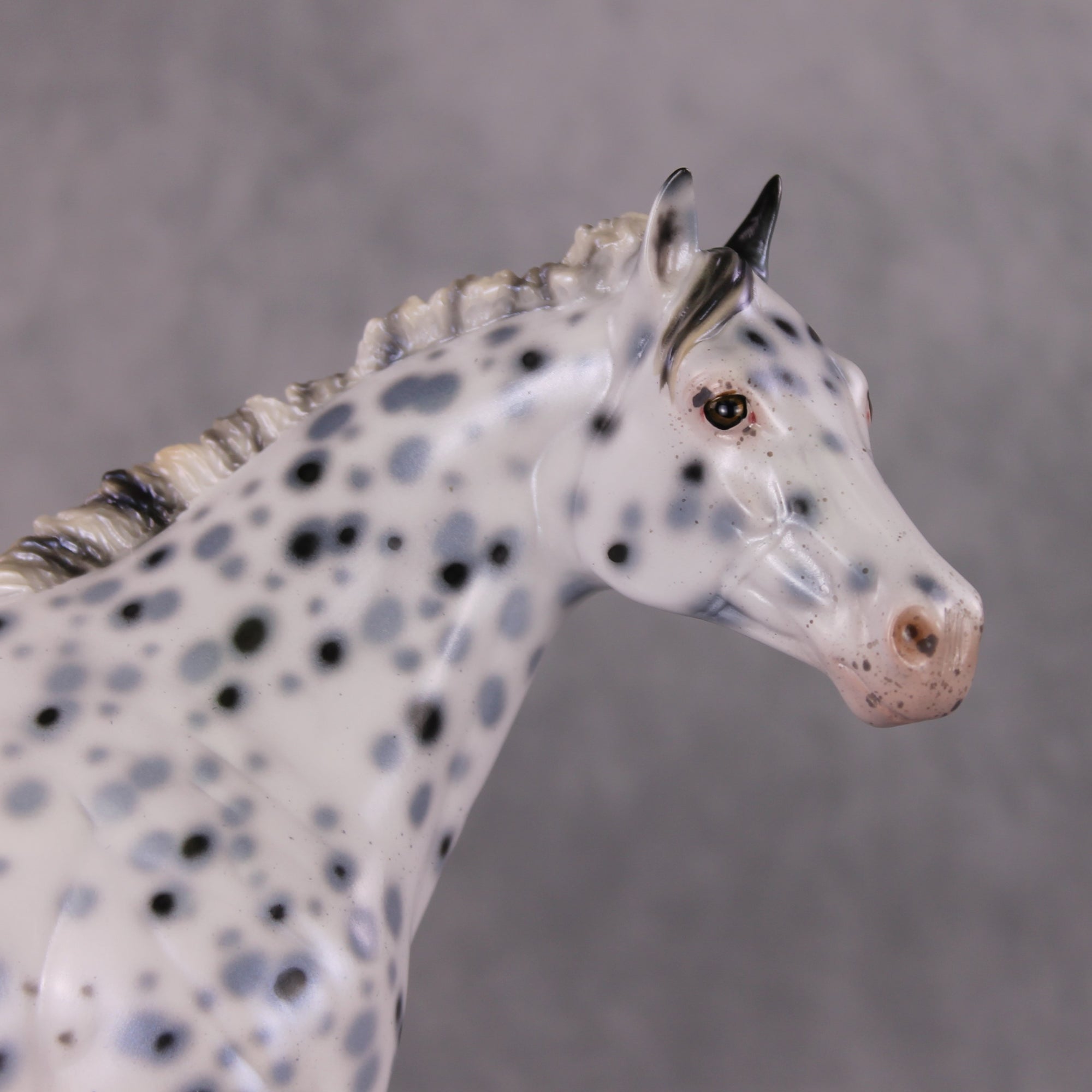 Cookiez 4 Santa OOAK Pearl Black Leopard Appaloosa W/ Blue Interference ISH By Ellen Robbins HS24 MHP Auction Piece