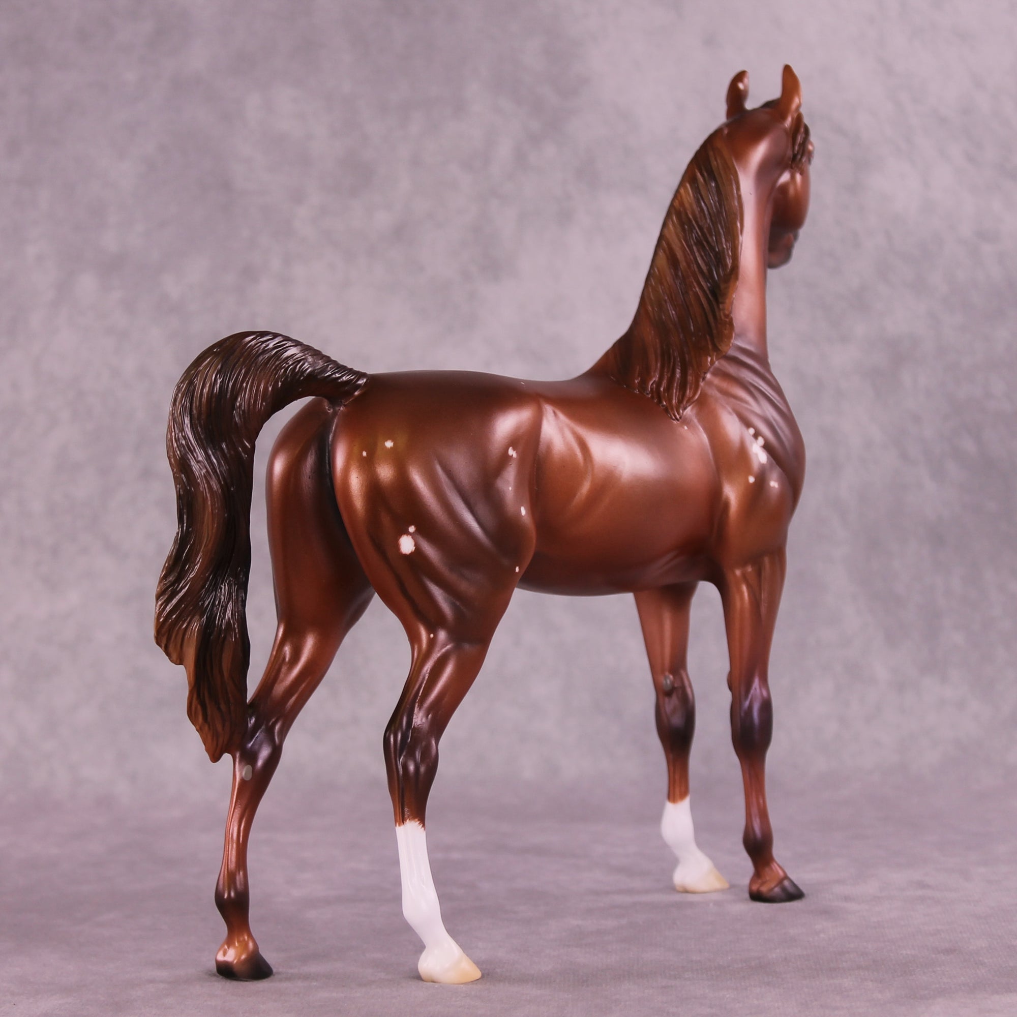 Flowers Once Again OOAK Arabian Stallion by Ashley Palmer DDOOAKs25