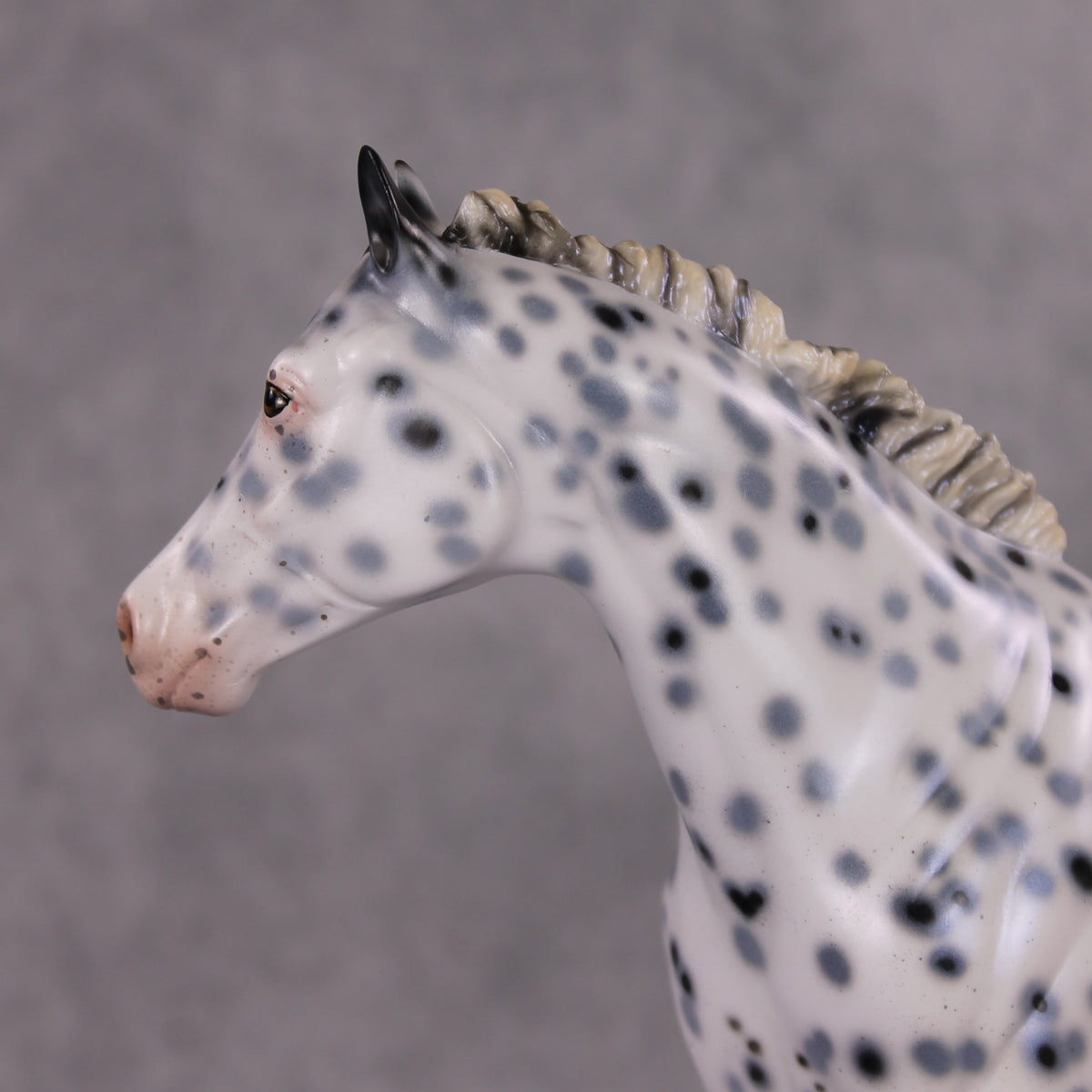 Cookiez 4 Santa OOAK Pearl Black Leopard Appaloosa W/ Blue Interference ISH By Ellen Robbins HS24 MHP Auction Piece
