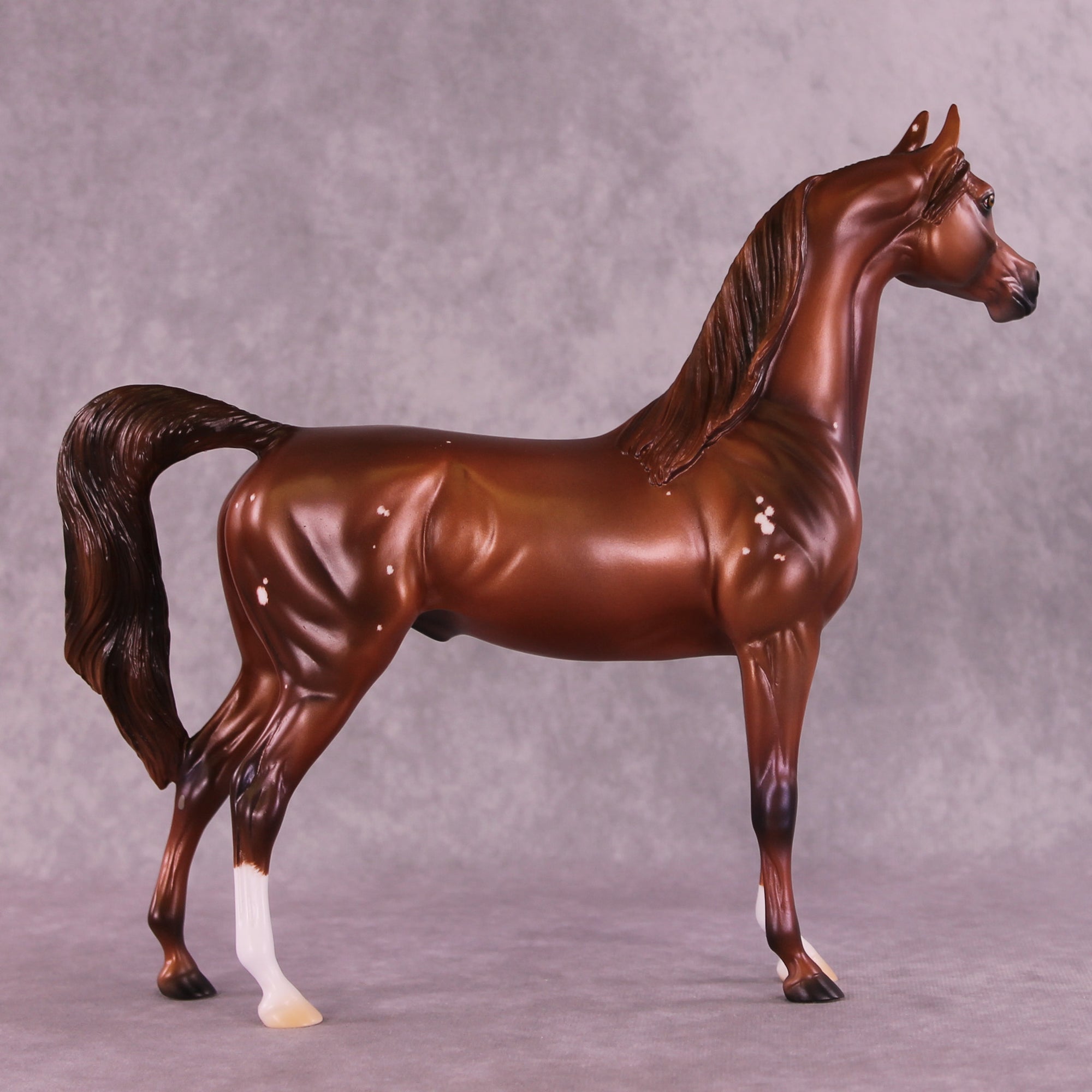 Flowers Once Again OOAK Arabian Stallion by Ashley Palmer DDOOAKs25