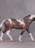 Damien OOAK Bay Roan Pinto Irish Draught By Angela Marleau HS24