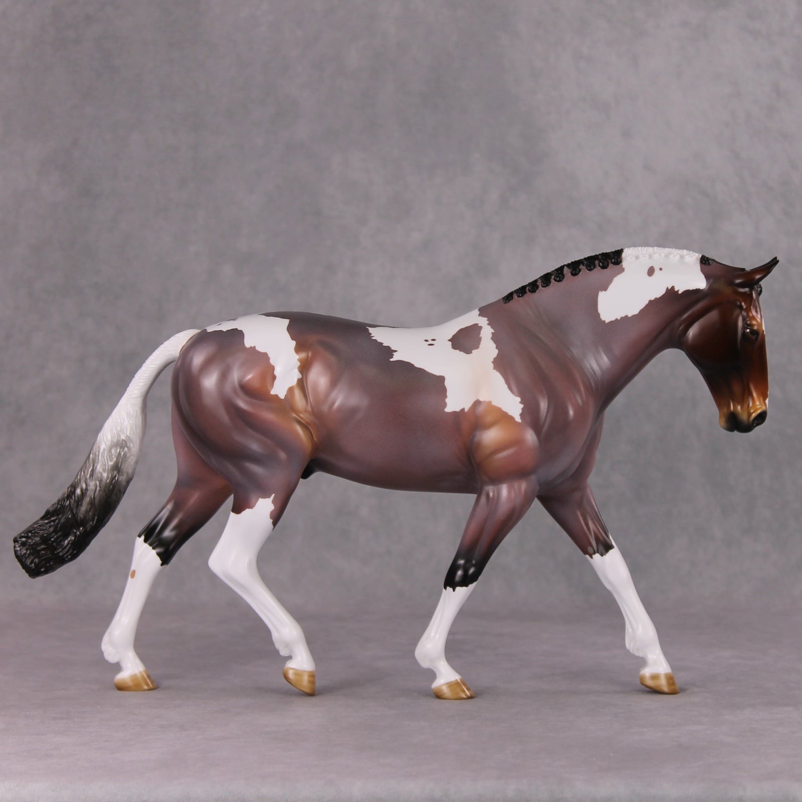 Damien OOAK Bay Roan Pinto Irish Draught By Angela Marleau HS24