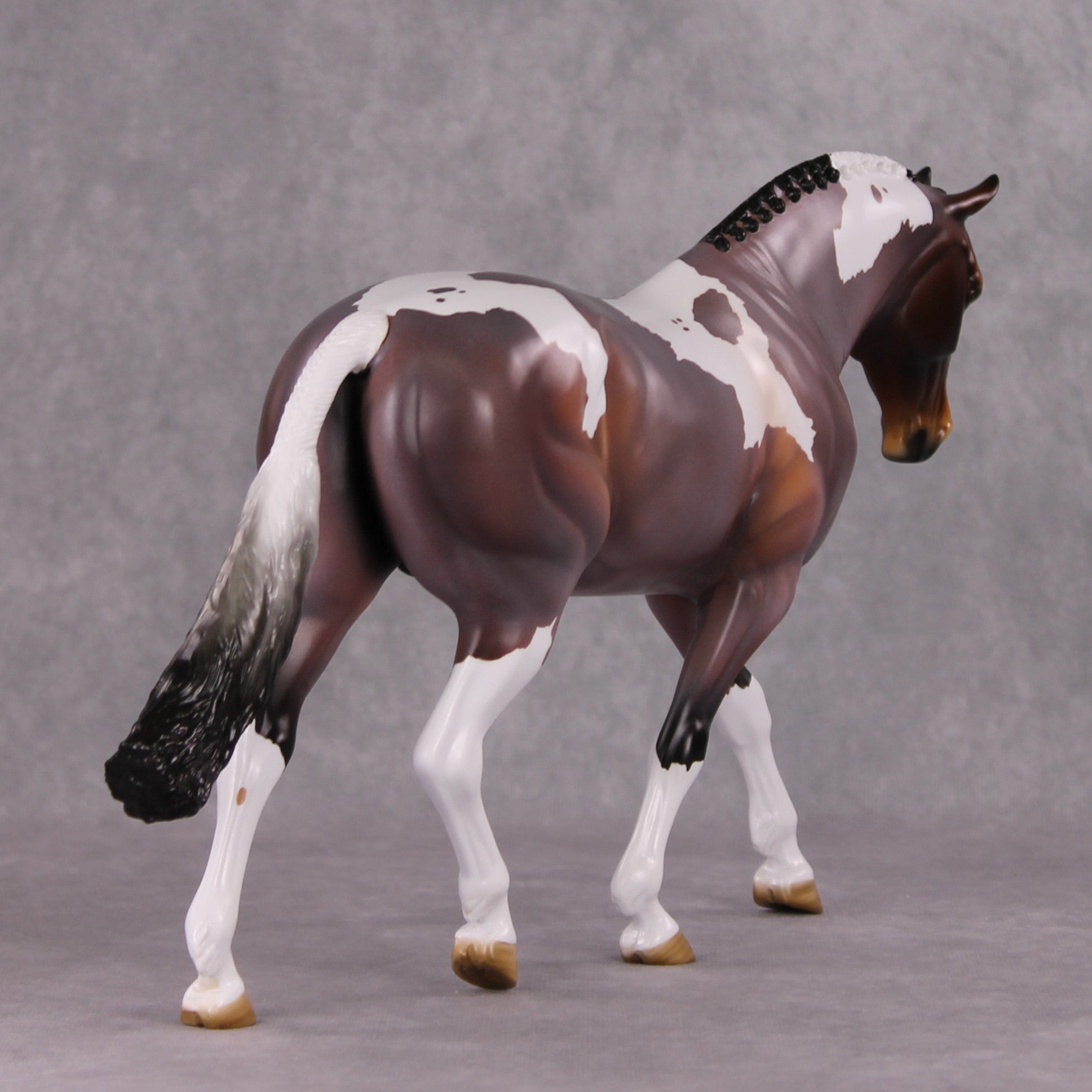 Damien OOAK Bay Roan Pinto Irish Draught By Angela Marleau HS24