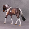 Damien OOAK Bay Roan Pinto Irish Draught By Angela Marleau HS24