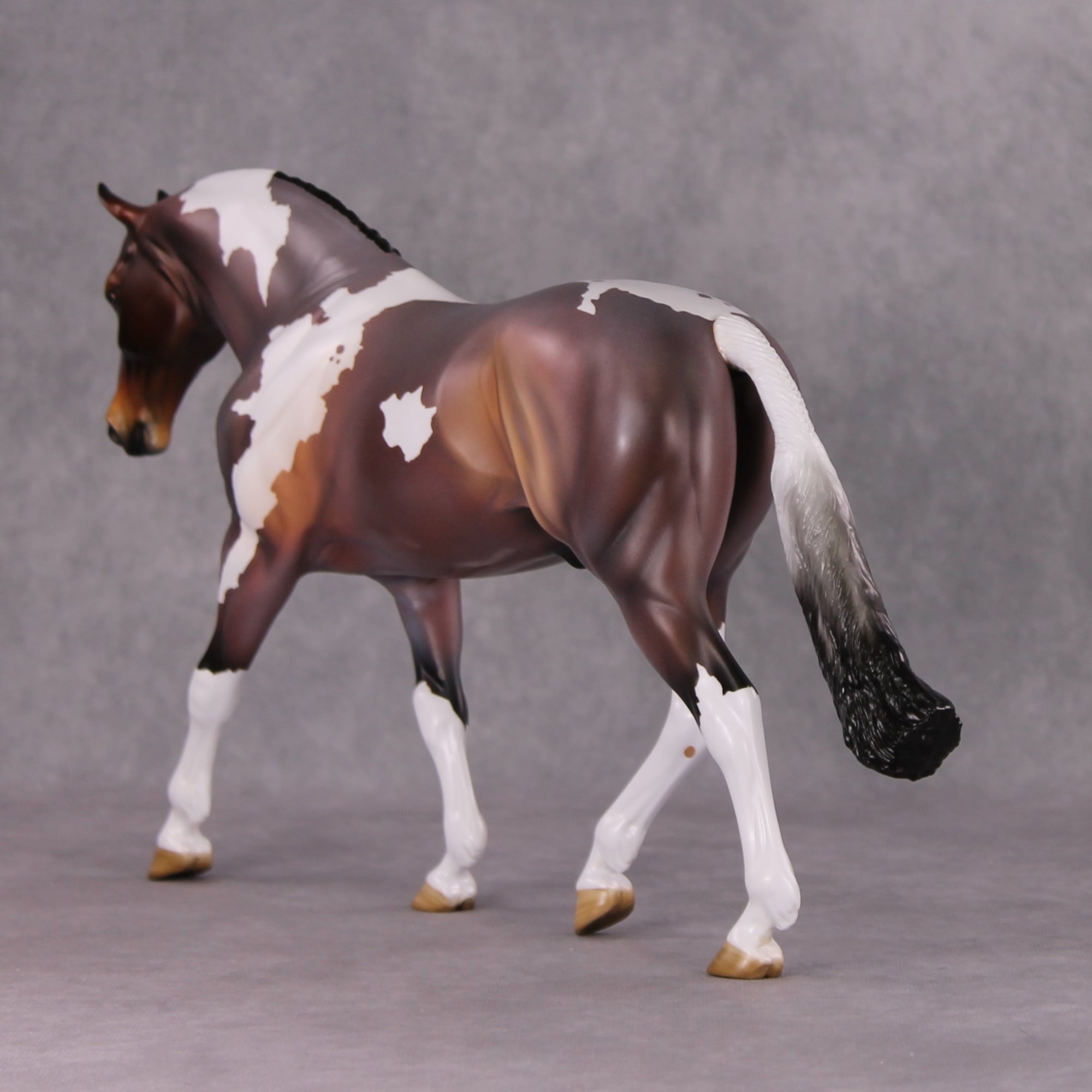 Damien OOAK Bay Roan Pinto Irish Draught By Angela Marleau HS24
