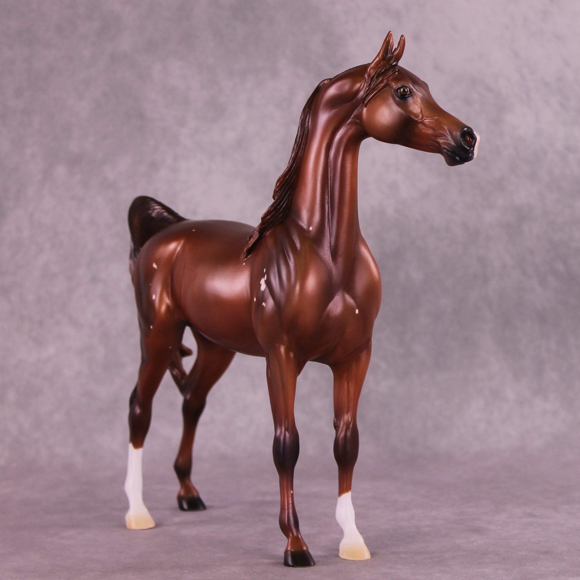 Flowers Once Again OOAK Arabian Stallion by Ashley Palmer DDOOAKs25