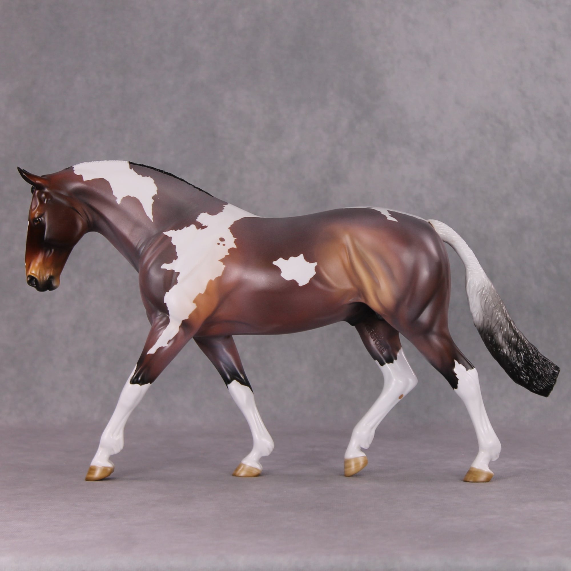 Damien OOAK Bay Roan Pinto Irish Draught By Angela Marleau HS24