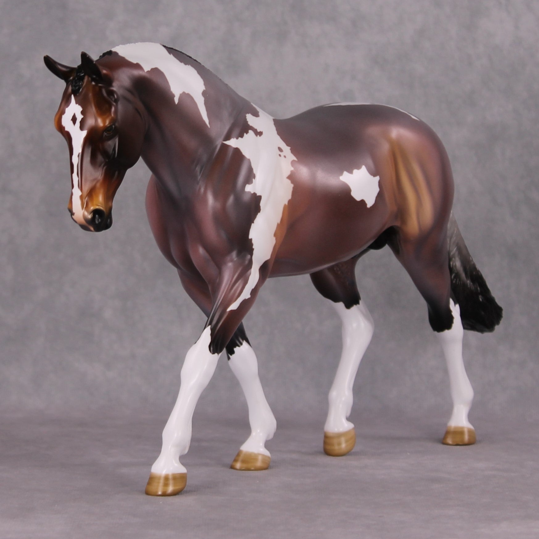 Damien OOAK Bay Roan Pinto Irish Draught By Angela Marleau HS24