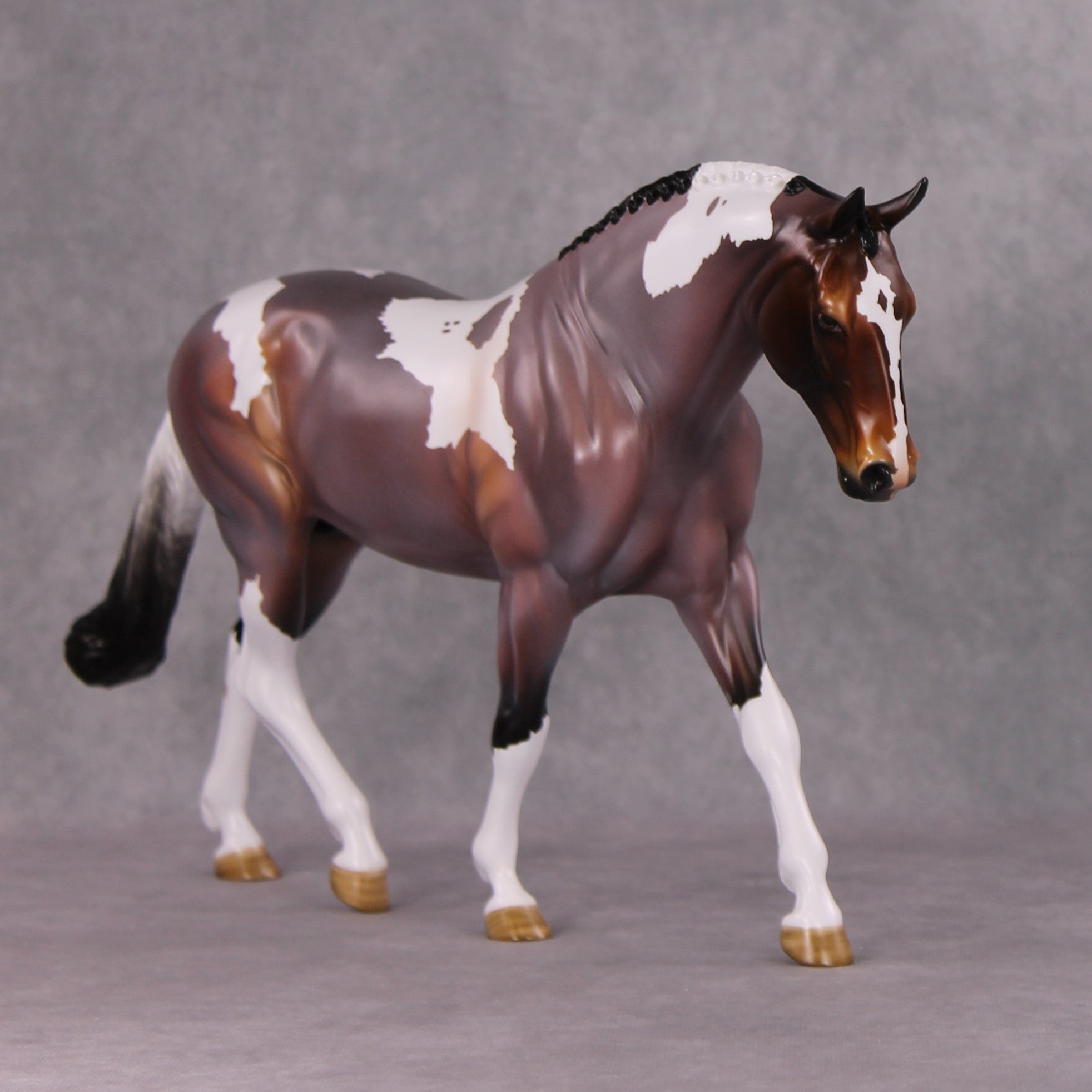 Damien OOAK Bay Roan Pinto Irish Draught By Angela Marleau HS24