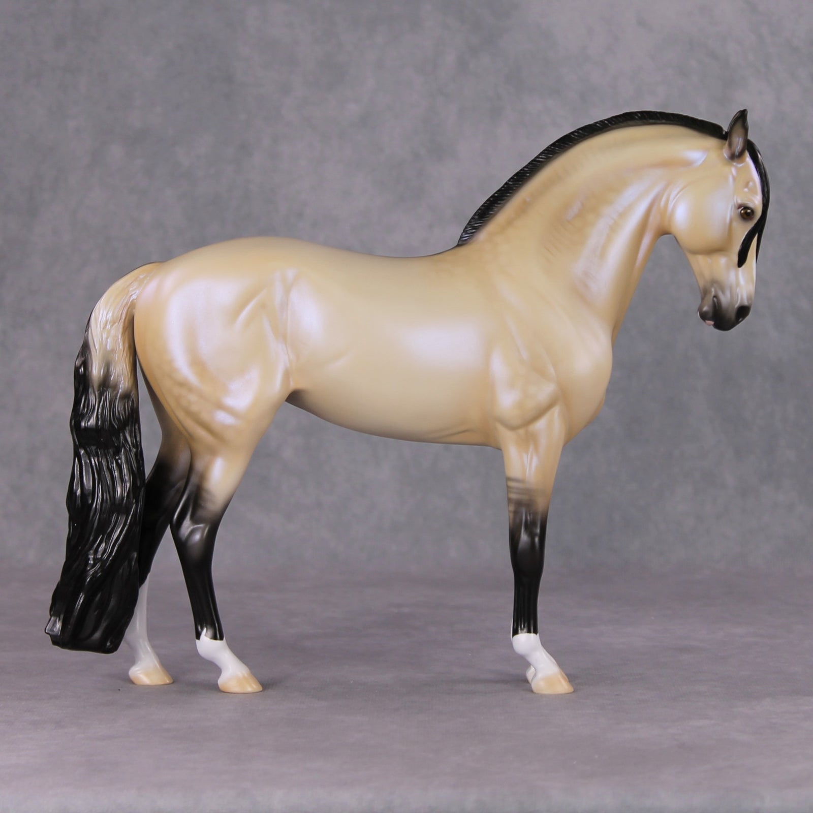 Tinsel Sparkle OOAK Dappled Light Buckskin W/ Blue Interference Andalusian By Ellen Robbins HS24 MHP Auction Piece