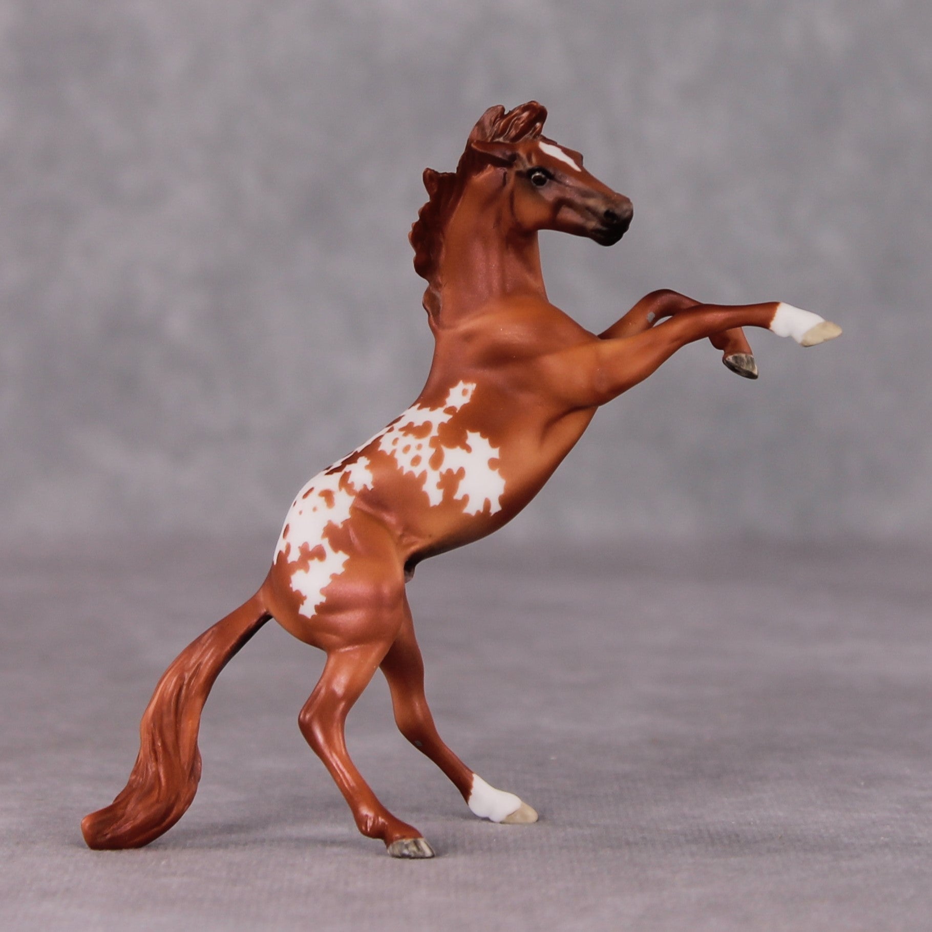 "Occhiali" OOAK Rearing Chip By Maggie Jenner-Bennett