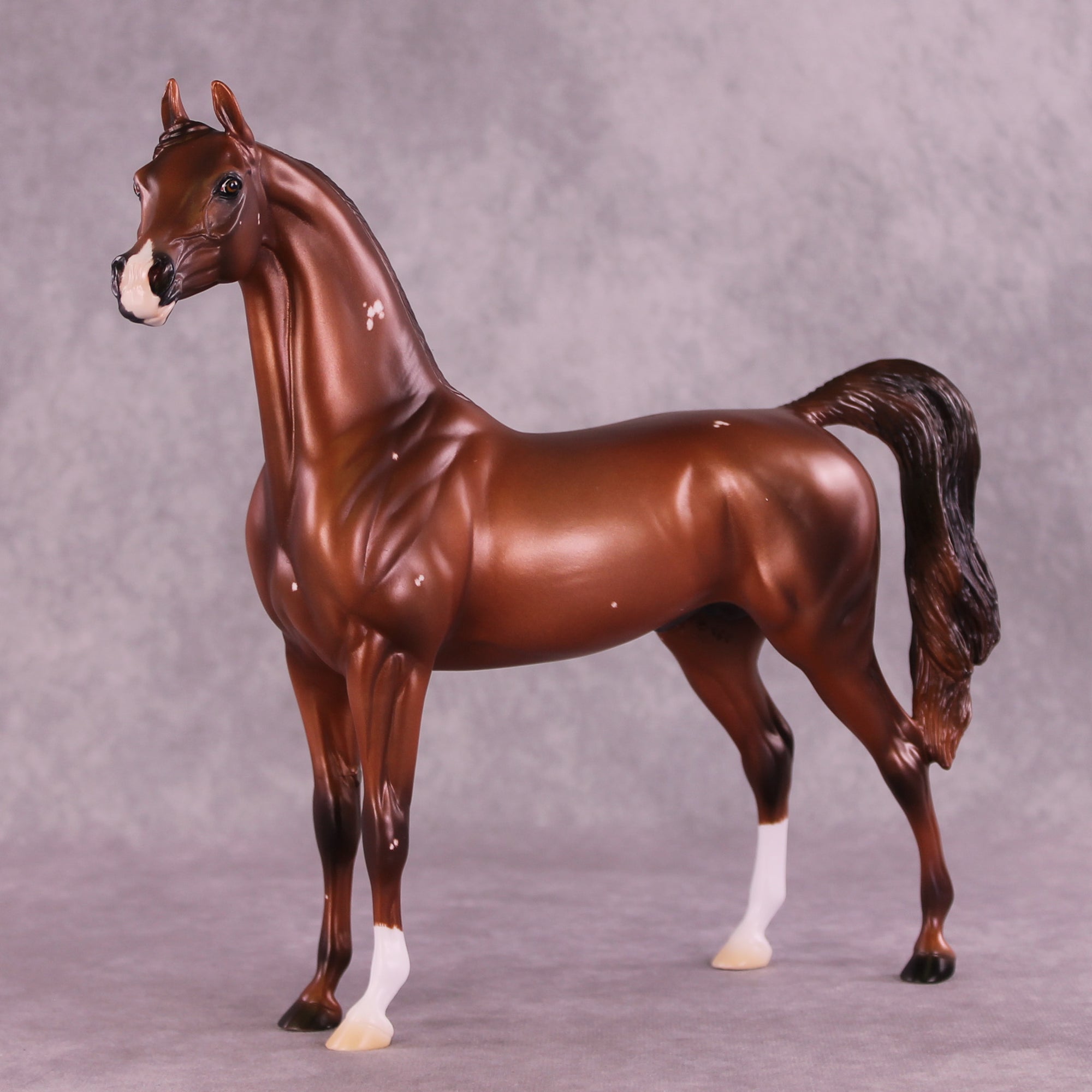 Flowers Once Again OOAK Arabian Stallion by Ashley Palmer DDOOAKs25