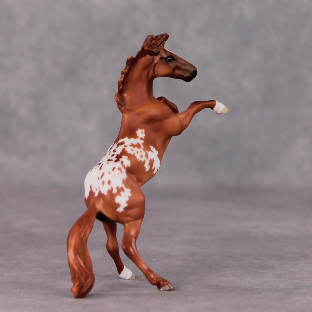 "Occhiali" OOAK Rearing Chip By Maggie Jenner-Bennett