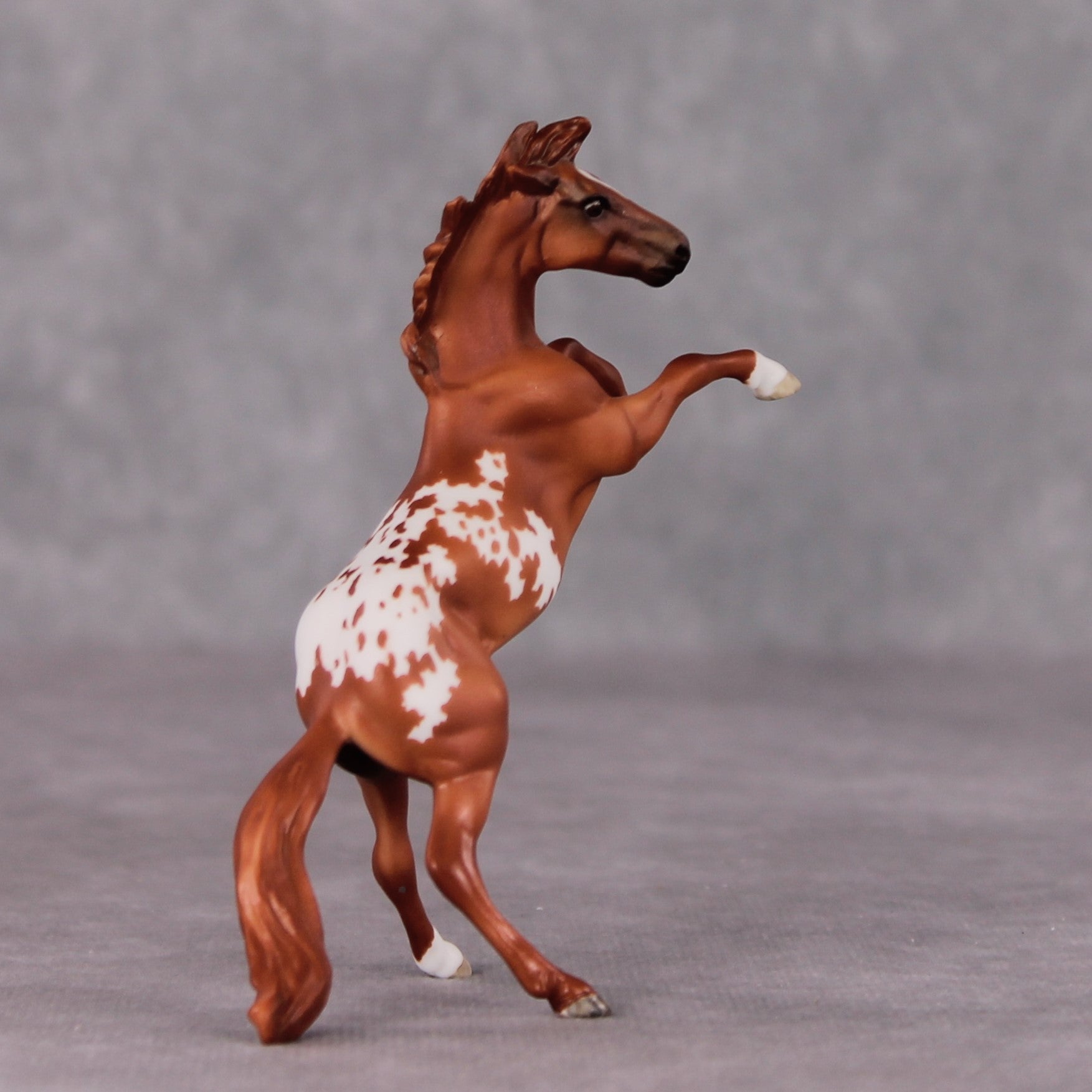 "Occhiali" OOAK Rearing Chip By Maggie Jenner-Bennett