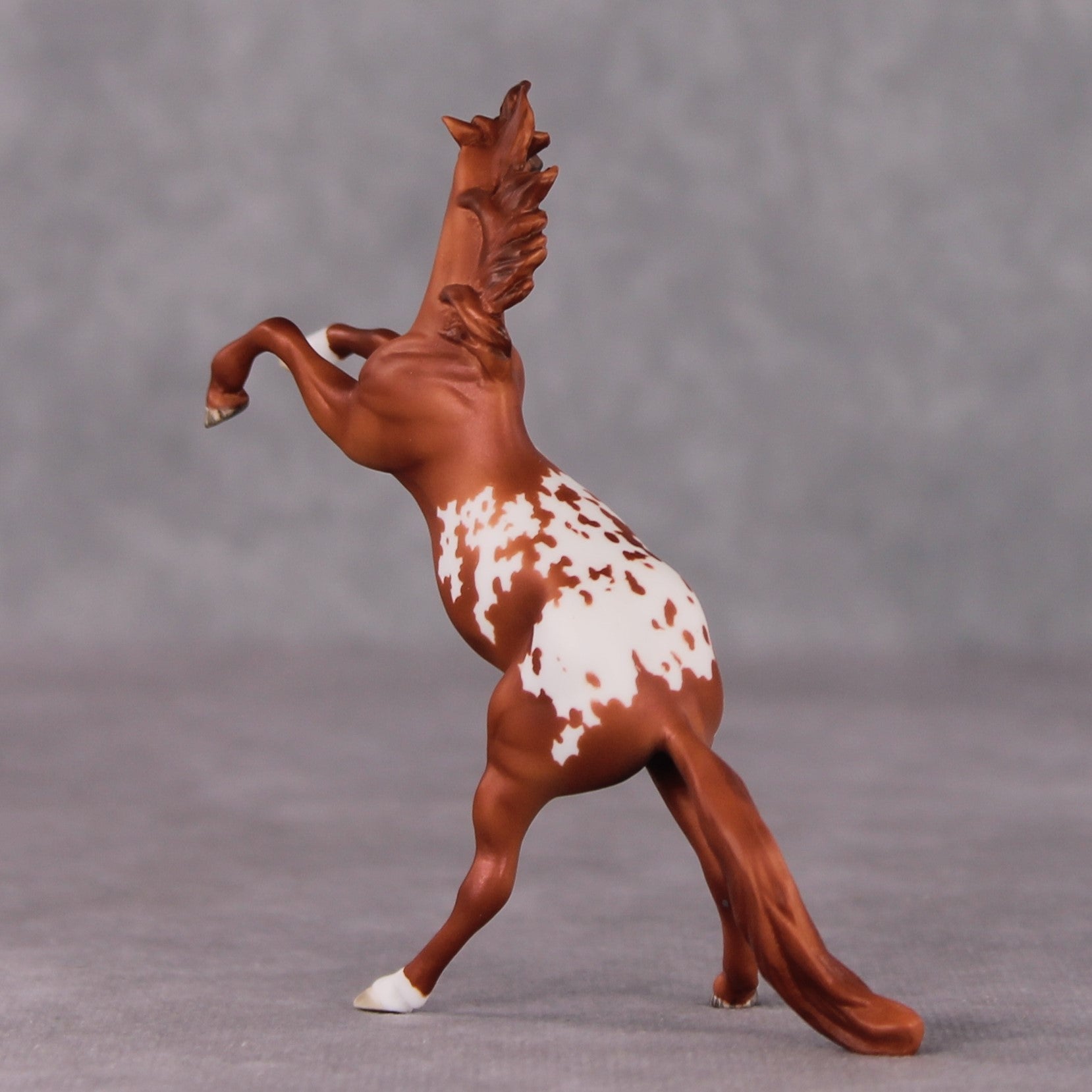 "Occhiali" OOAK Rearing Chip By Maggie Jenner-Bennett