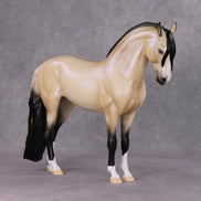 Tinsel Sparkle OOAK Dappled Light Buckskin W/ Blue Interference Andalusian By Ellen Robbins HS24 MHP Auction Piece