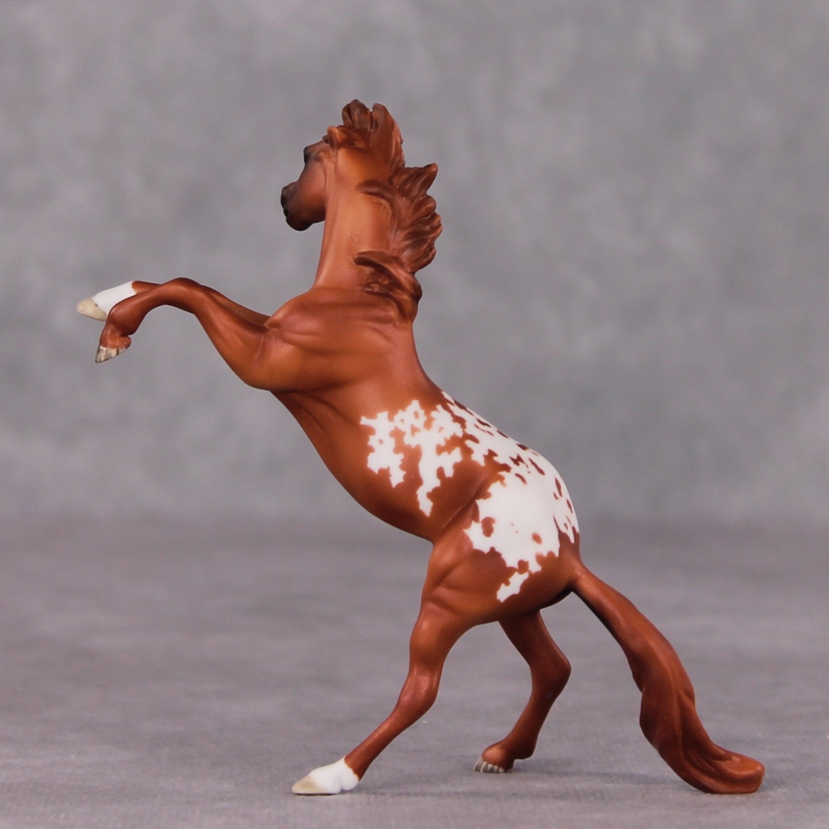 "Occhiali" OOAK Rearing Chip By Maggie Jenner-Bennett