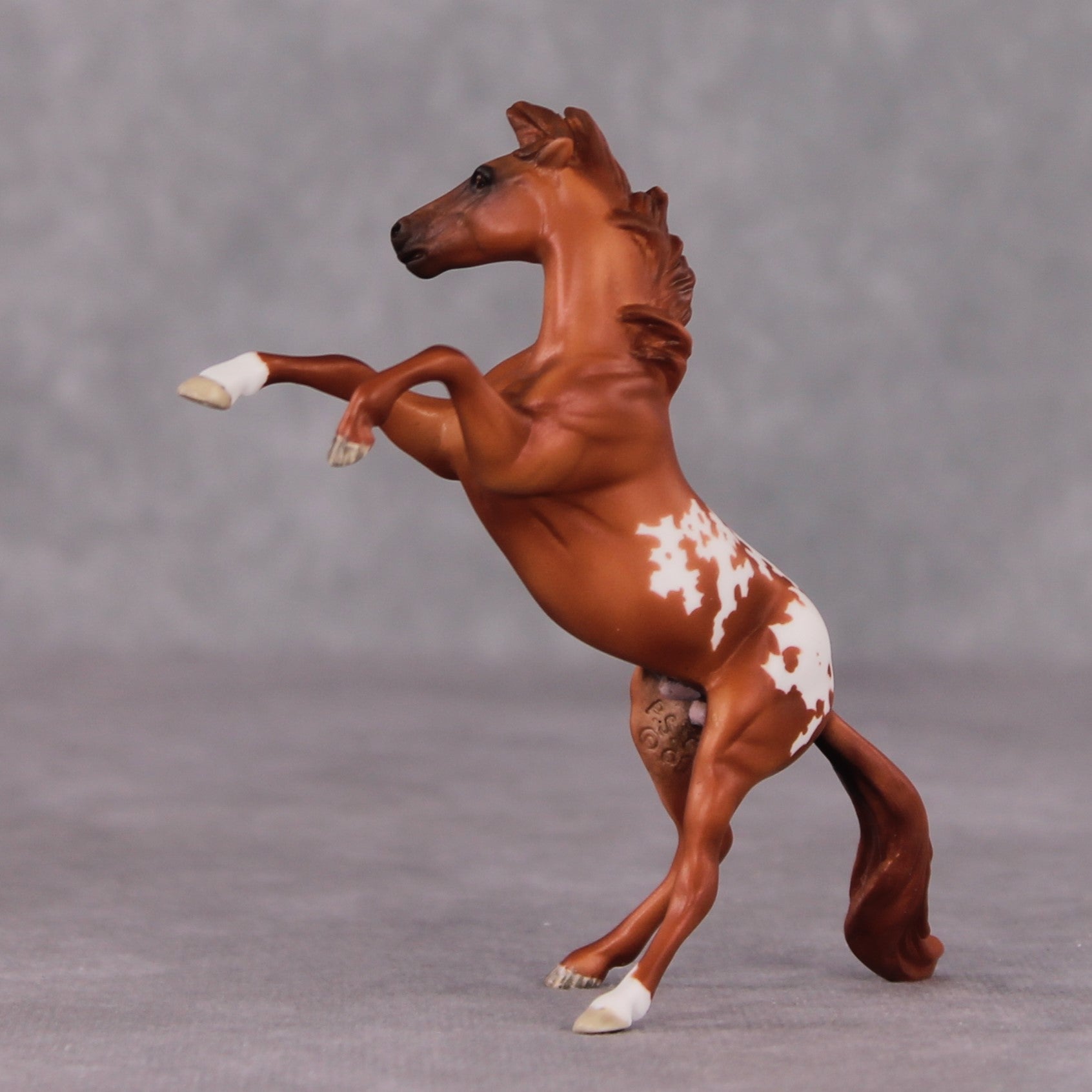 "Occhiali" OOAK Rearing Chip By Maggie Jenner-Bennett