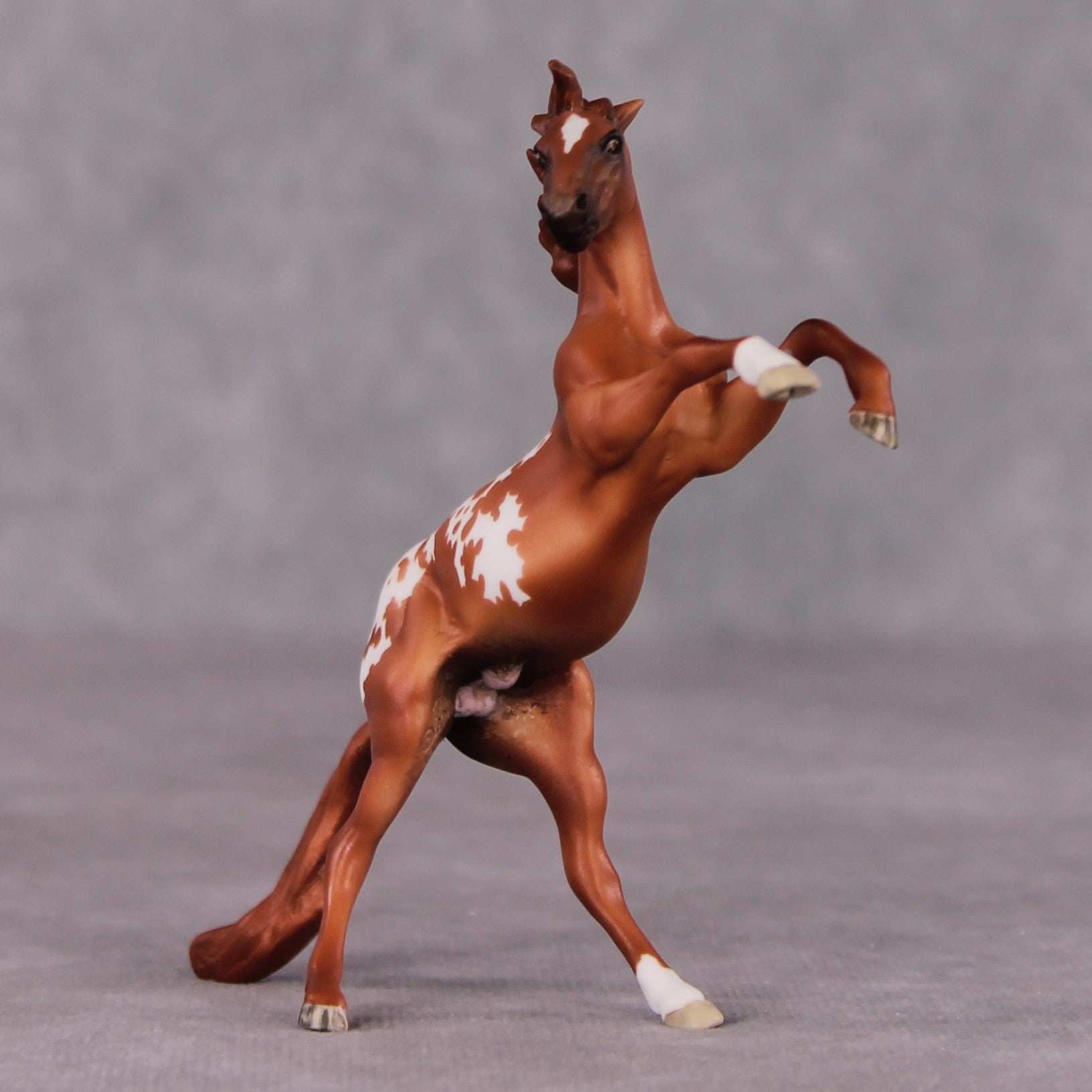 "Occhiali" OOAK Rearing Chip By Maggie Jenner-Bennett