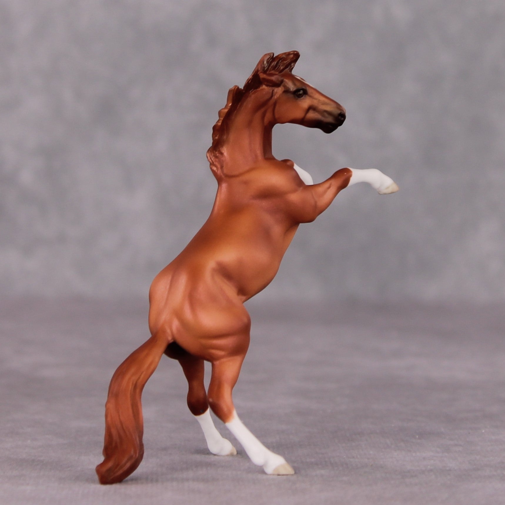 "Cythera" OOAK Rearing Chip By Maggie Jenner-Bennett