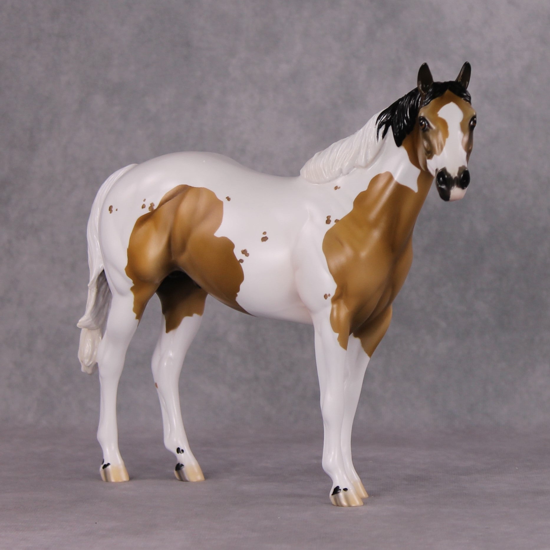 Parka OOAK Buckskin Pinto ISH By Jess Hamill HS24