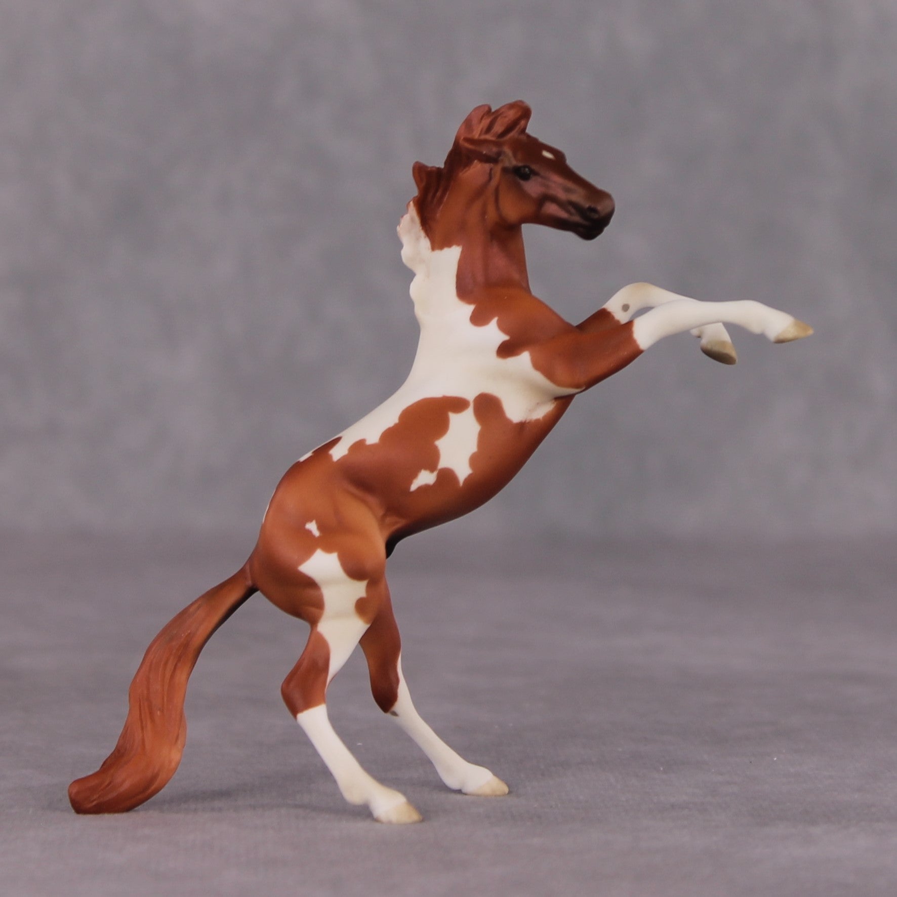 "William Kid" OOAK Rearing Chip By Maggie Jenner-Bennett