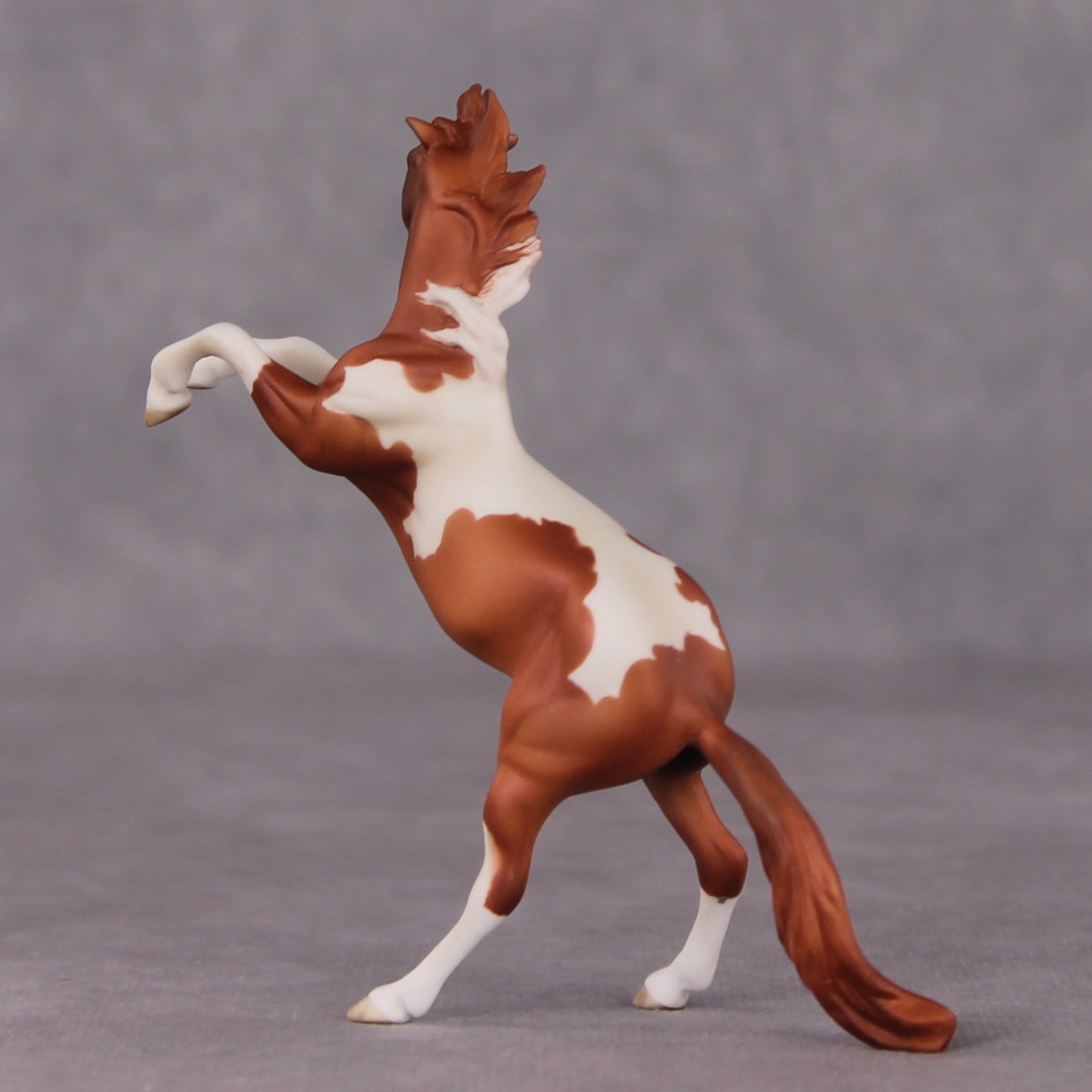 "William Kid" OOAK Rearing Chip By Maggie Jenner-Bennett