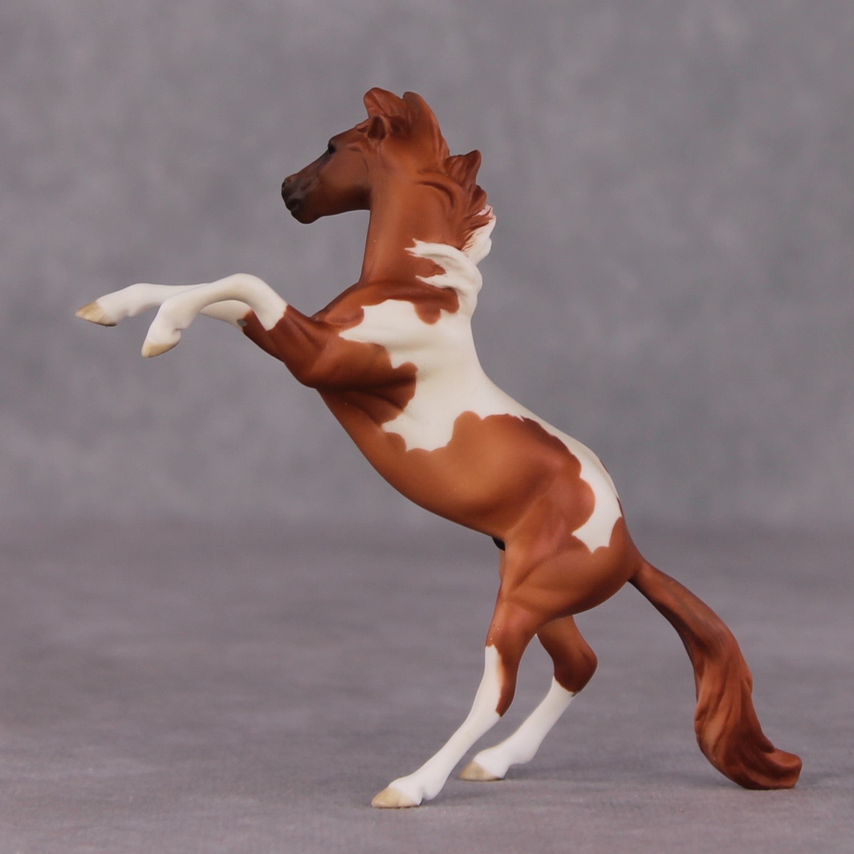 "William Kid" OOAK Rearing Chip By Maggie Jenner-Bennett