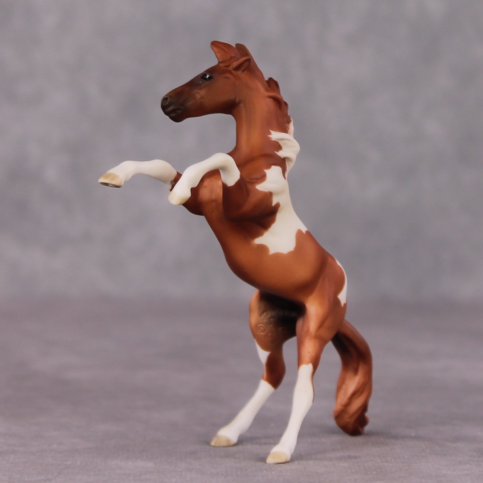 "William Kid" OOAK Rearing Chip By Maggie Jenner-Bennett