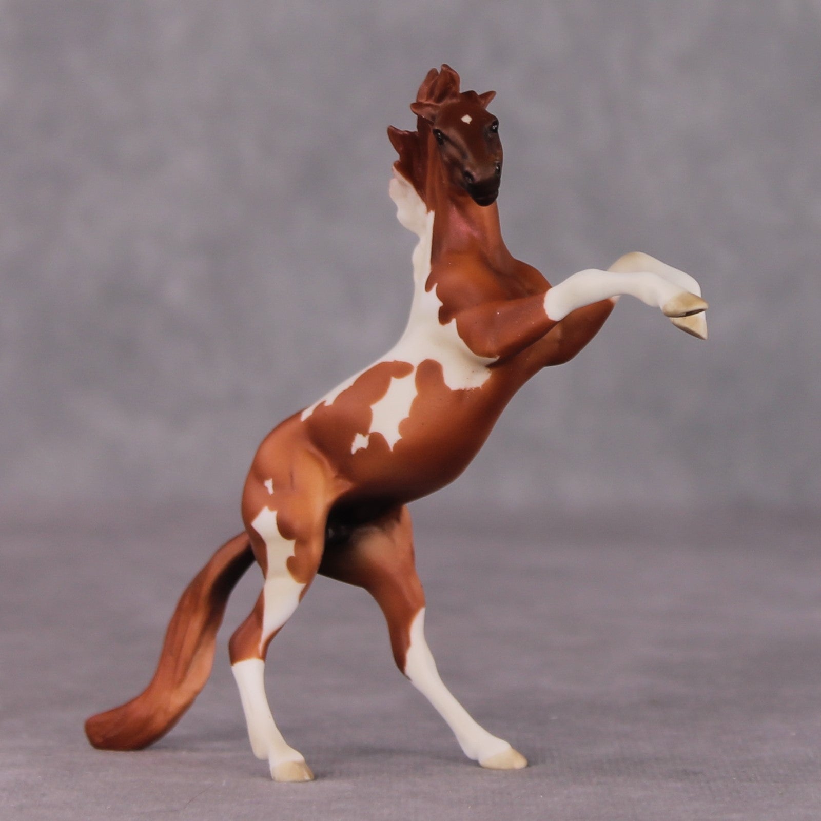 "William Kid" OOAK Rearing Chip By Maggie Jenner-Bennett