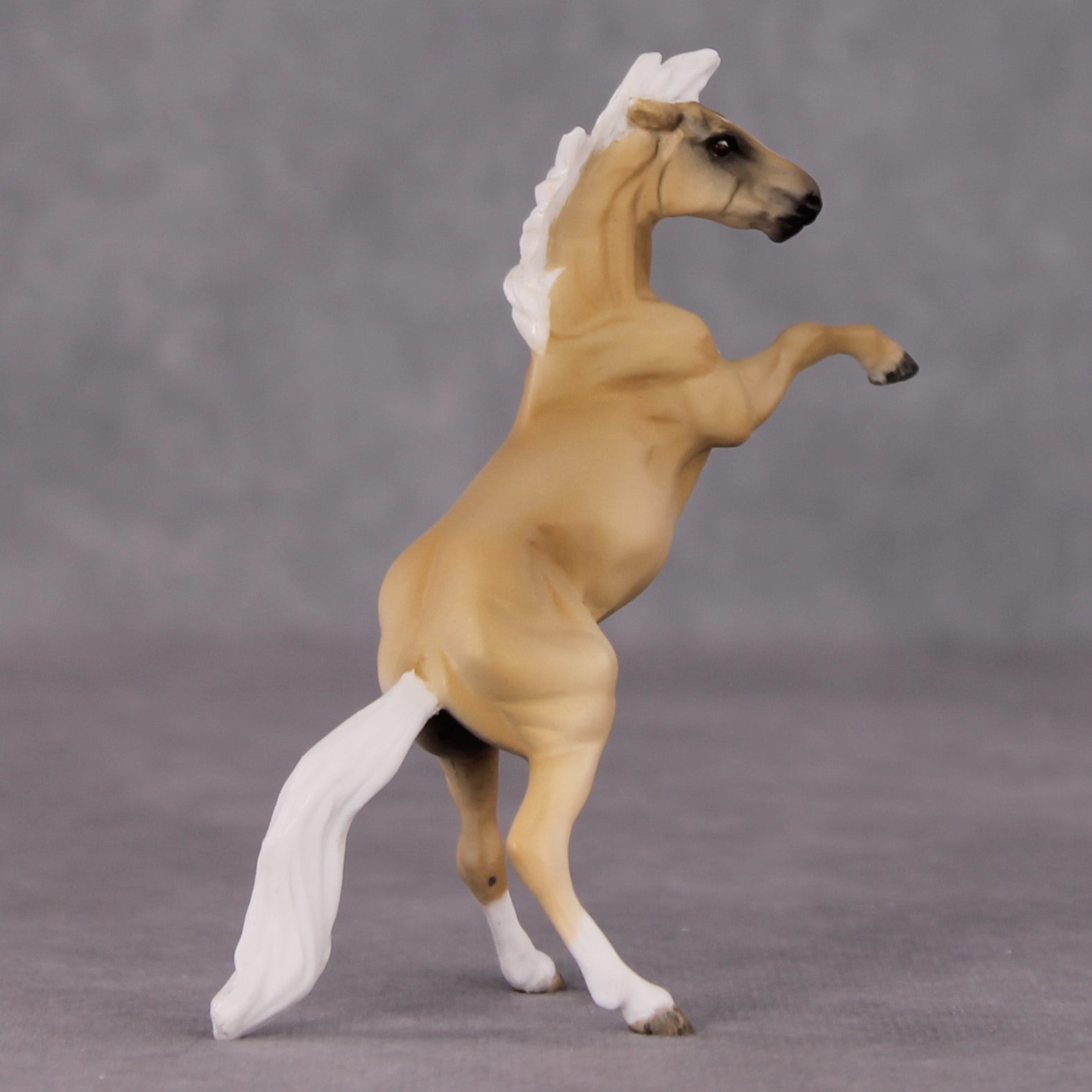 "Whydah" OOAK Rearing Chip By Maggie Jenner-Bennett