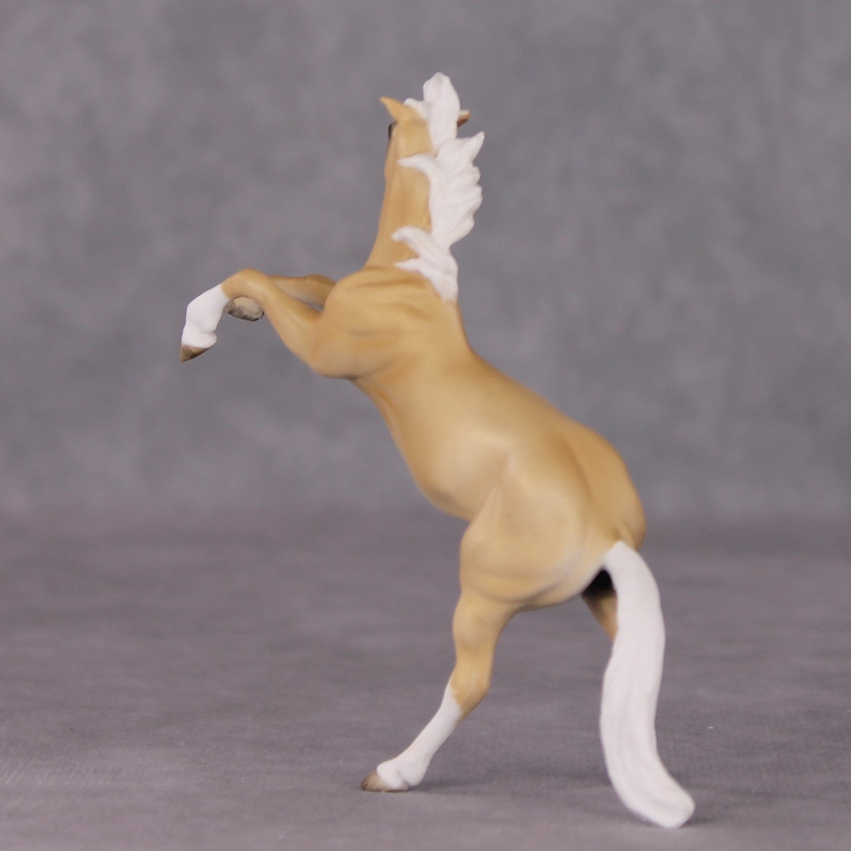 "Whydah" OOAK Rearing Chip By Maggie Jenner-Bennett