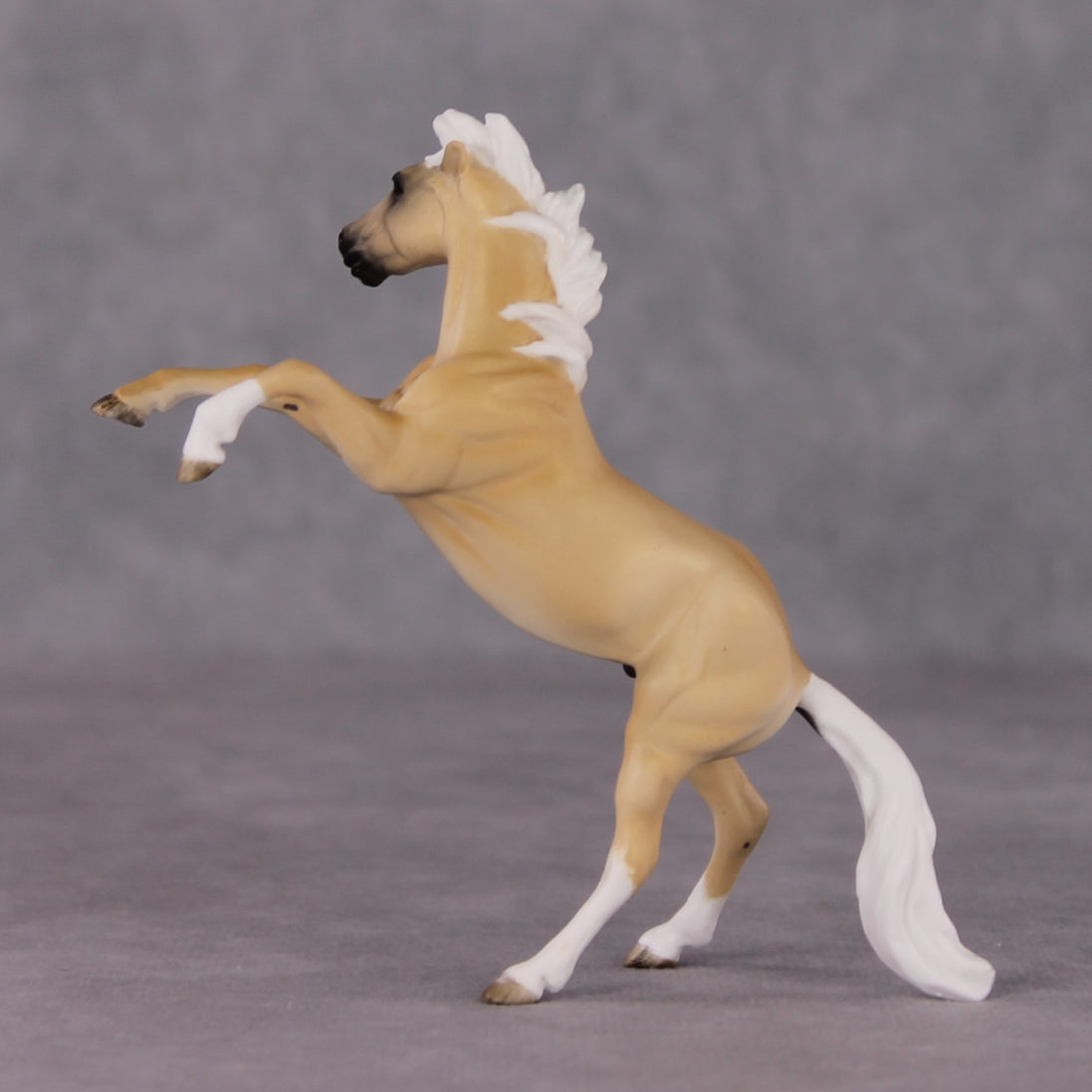 "Whydah" OOAK Rearing Chip By Maggie Jenner-Bennett