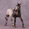 Core Memory OOAK FCM Pebble Draft Horse by Julie Keim Best Offers LHS25 09/09/2025