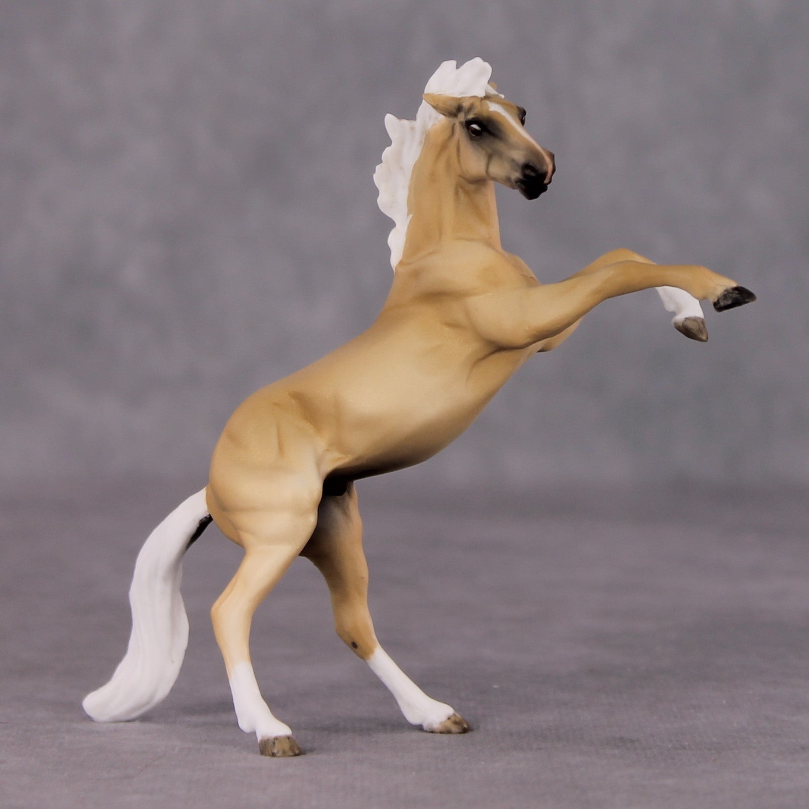 "Whydah" OOAK Rearing Chip By Maggie Jenner-Bennett