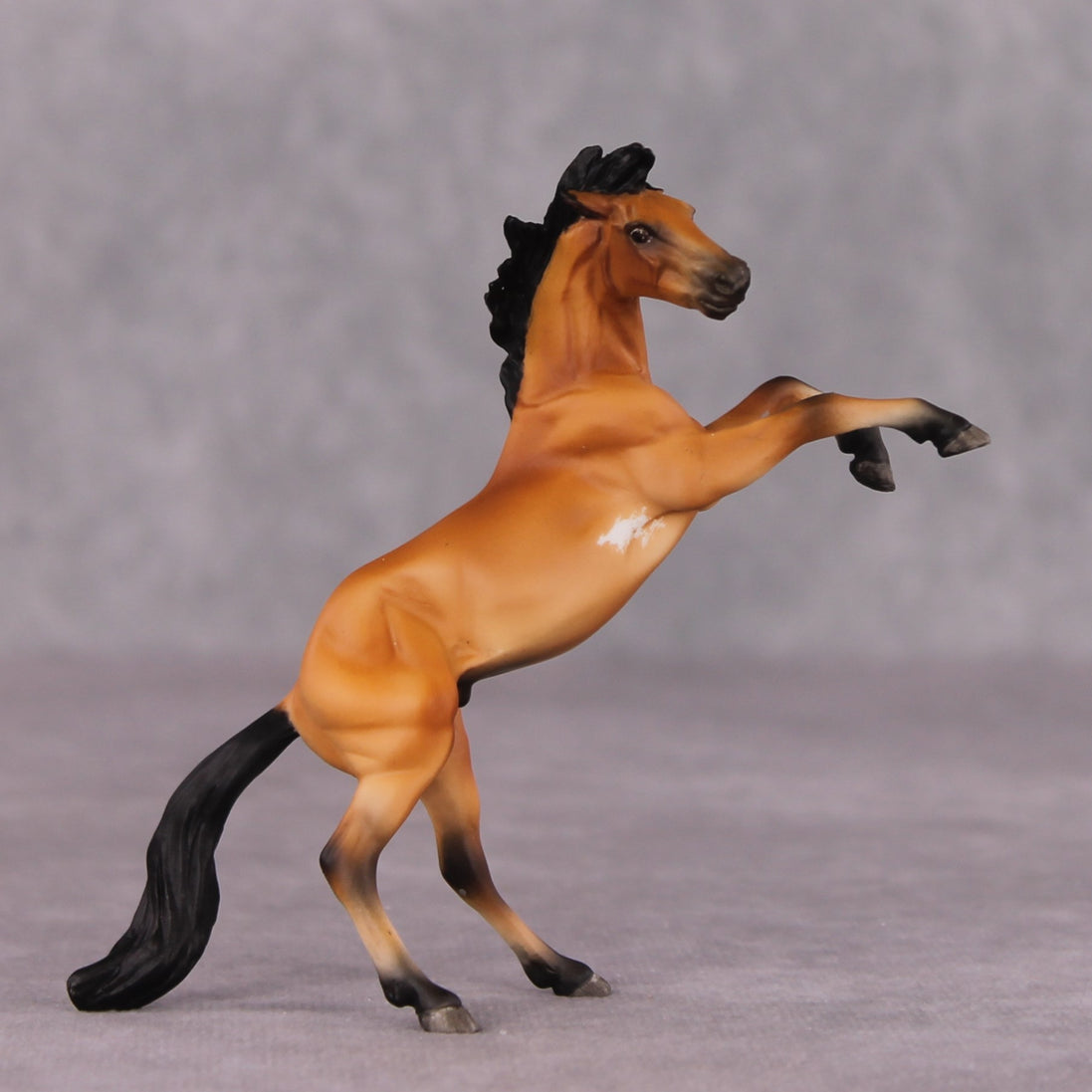 "Fang" OOAK Rearing Chip By Maggie Jenner-Bennett
