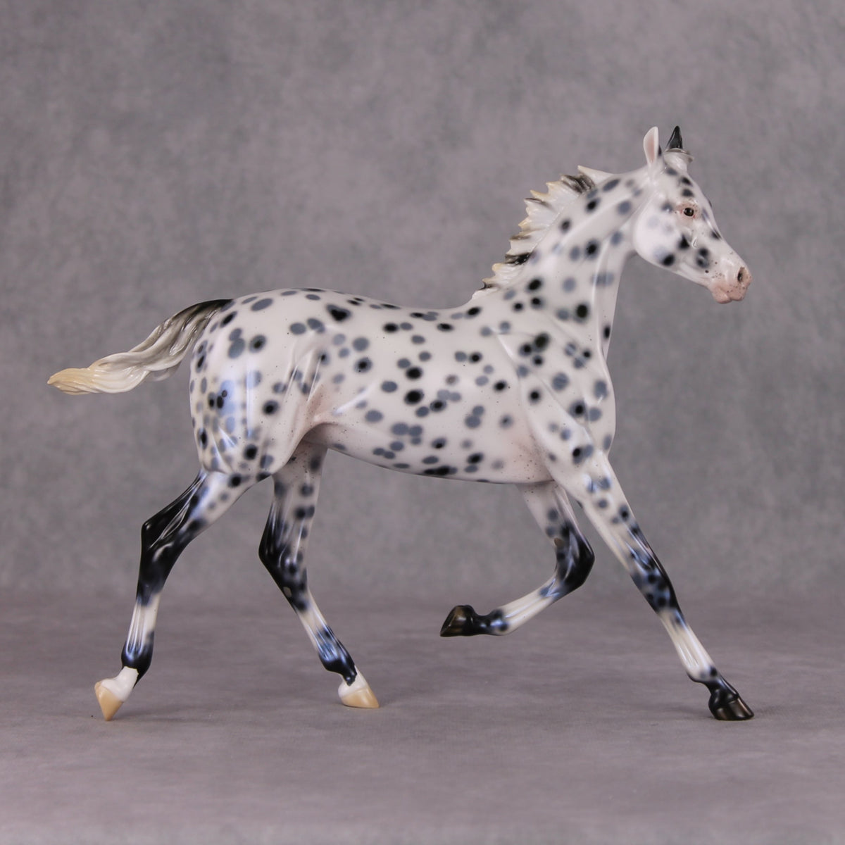 Black Ice OOAK Black Leopard Appaloosa Yearling By Ellen Robbins HS24